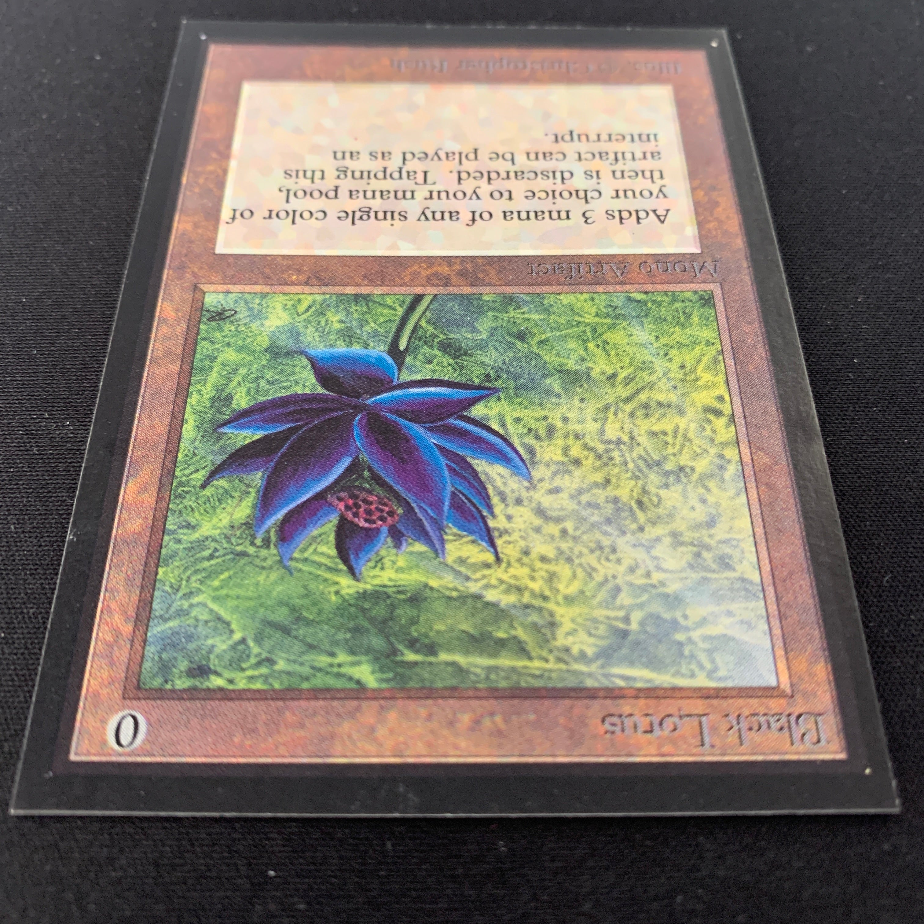 MTG Singles - Black Lotus - International Edition -