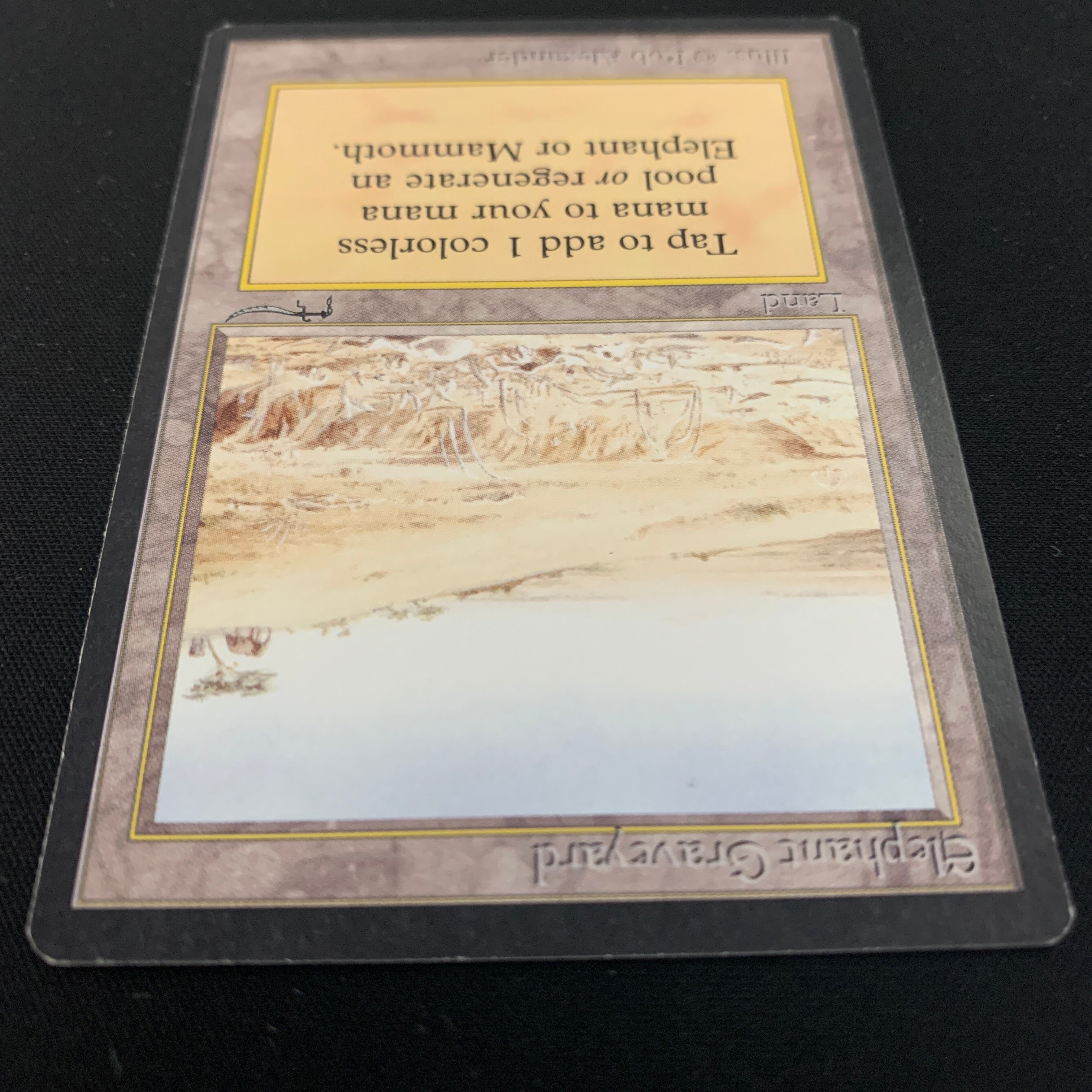 MTG Singles - Elephant Graveyard - Arabian Nights -