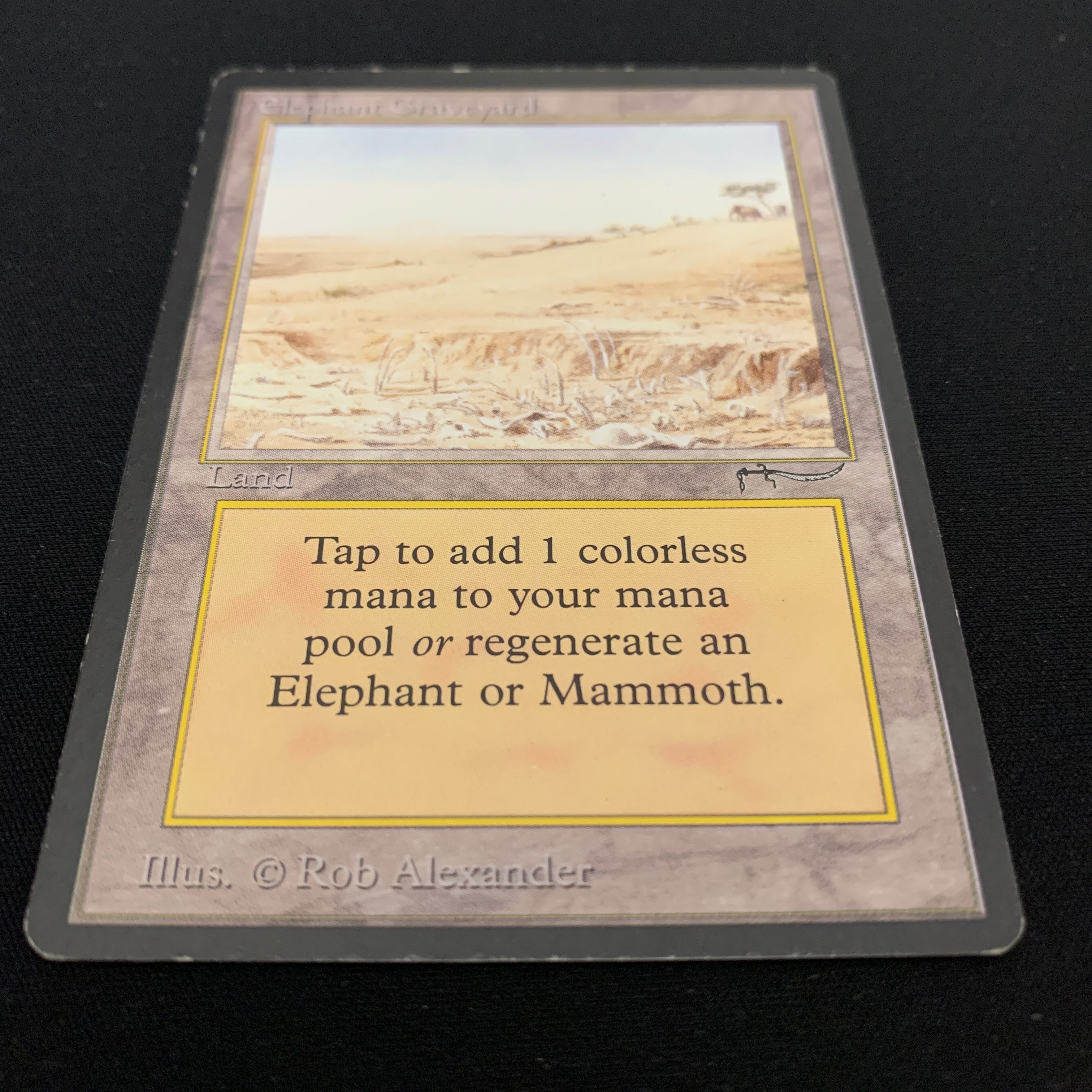 MTG Singles - Elephant Graveyard - Arabian Nights -