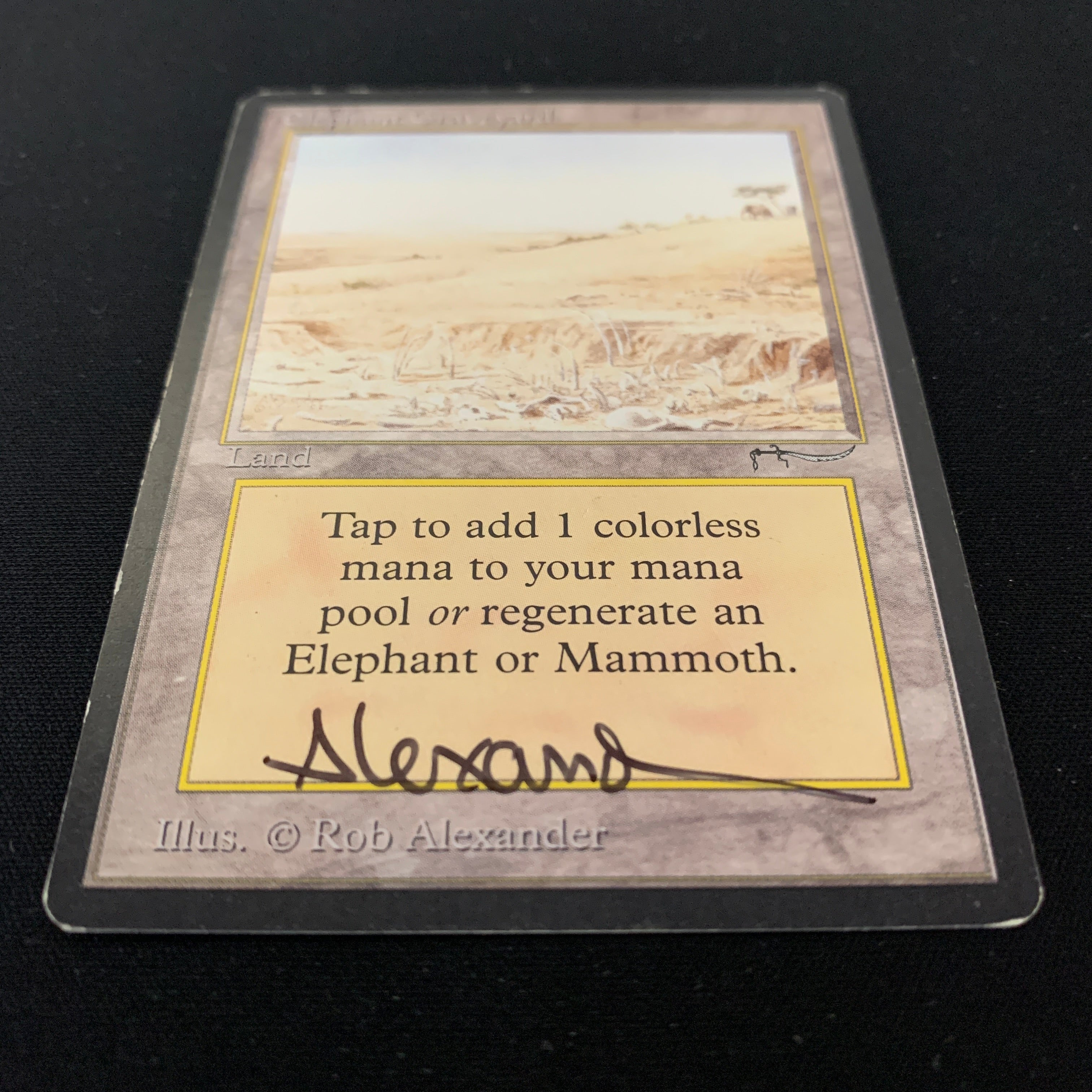 MTG Singles - Elephant Graveyard - Arabian Nights -