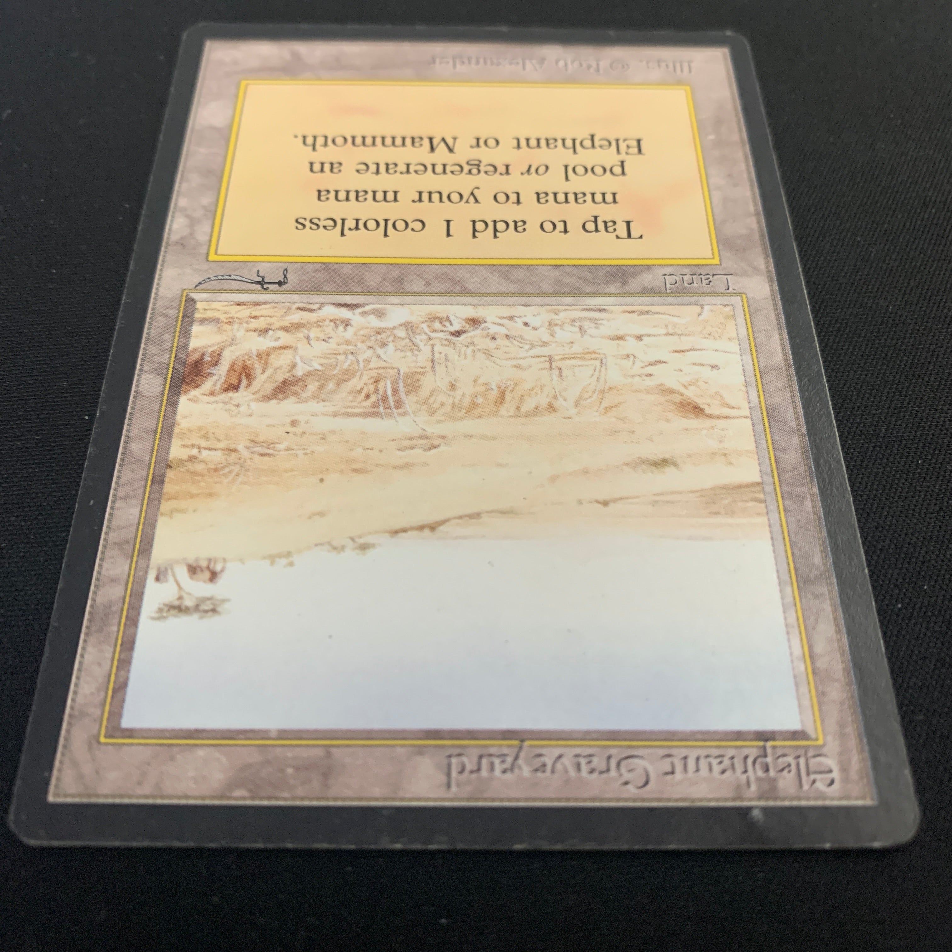 MTG Singles - Elephant Graveyard - Arabian Nights -