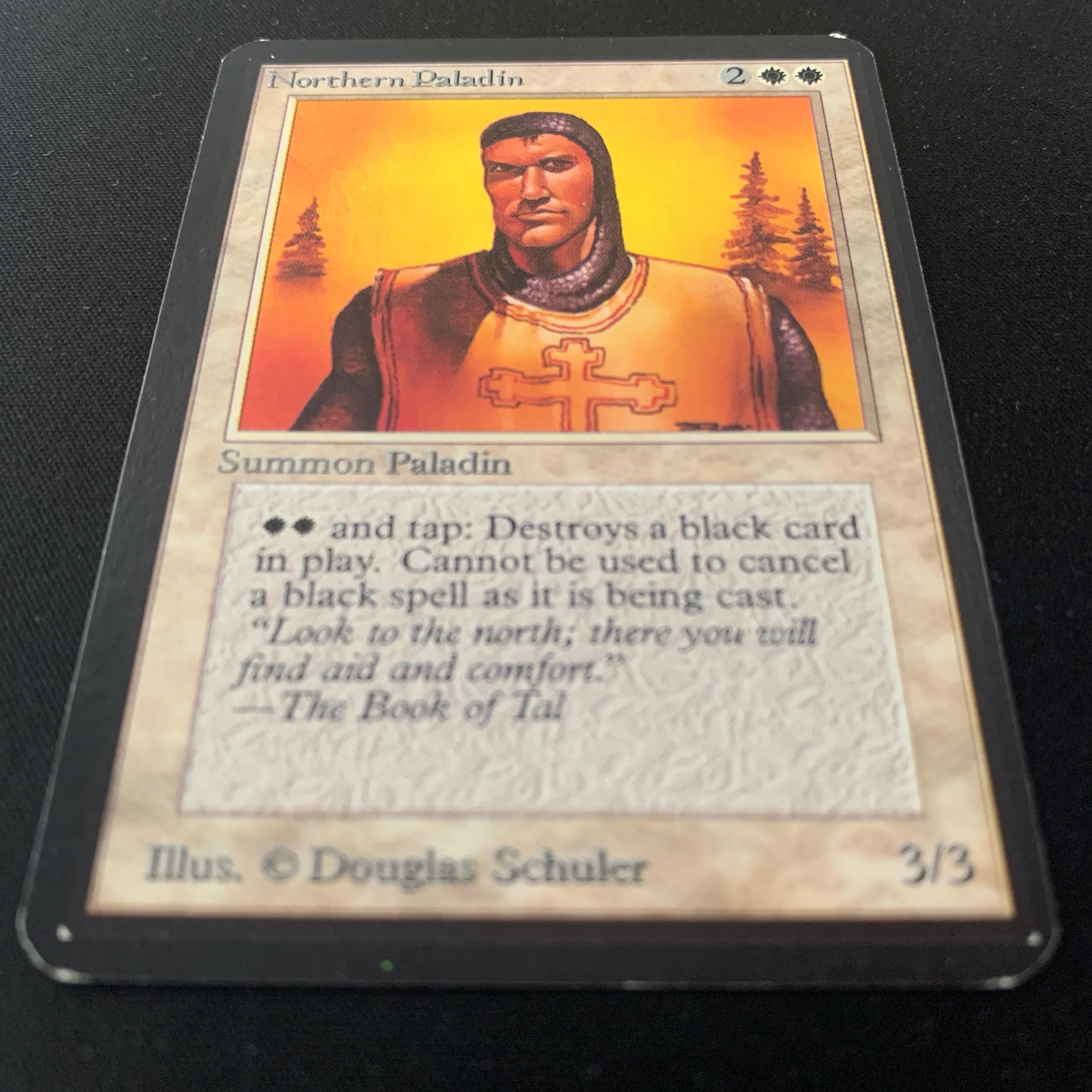MTG Singles - Northern Paladin - Alpha -