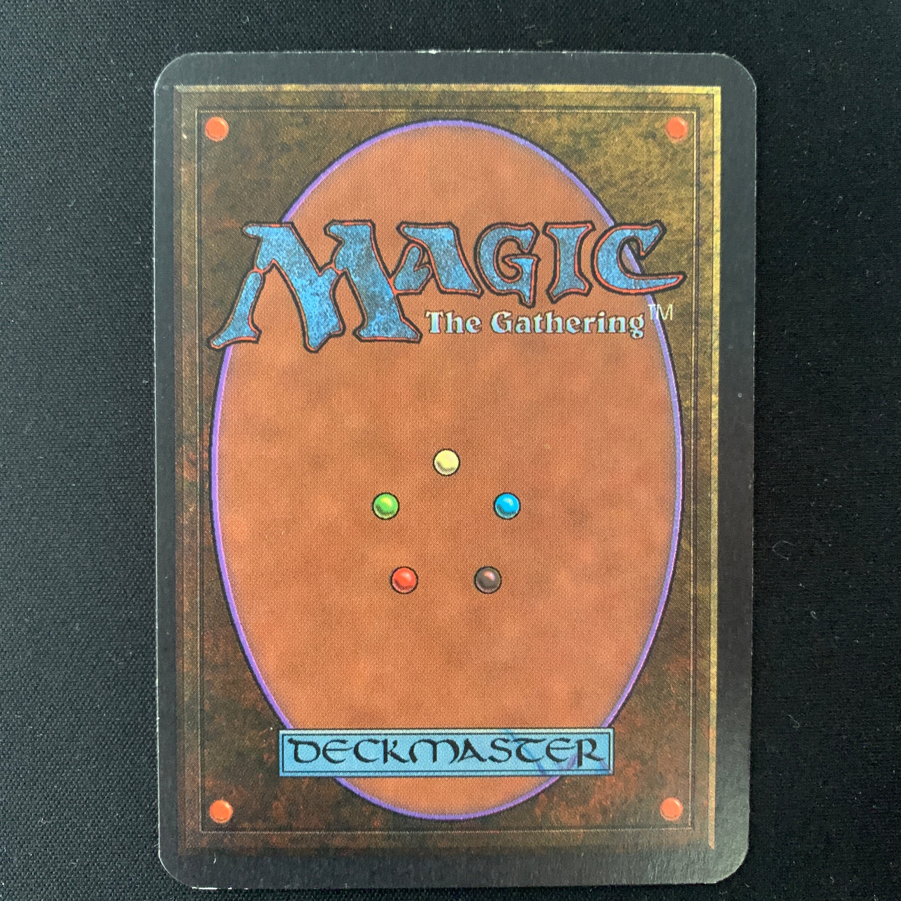 MTG Singles - Northern Paladin - Alpha -