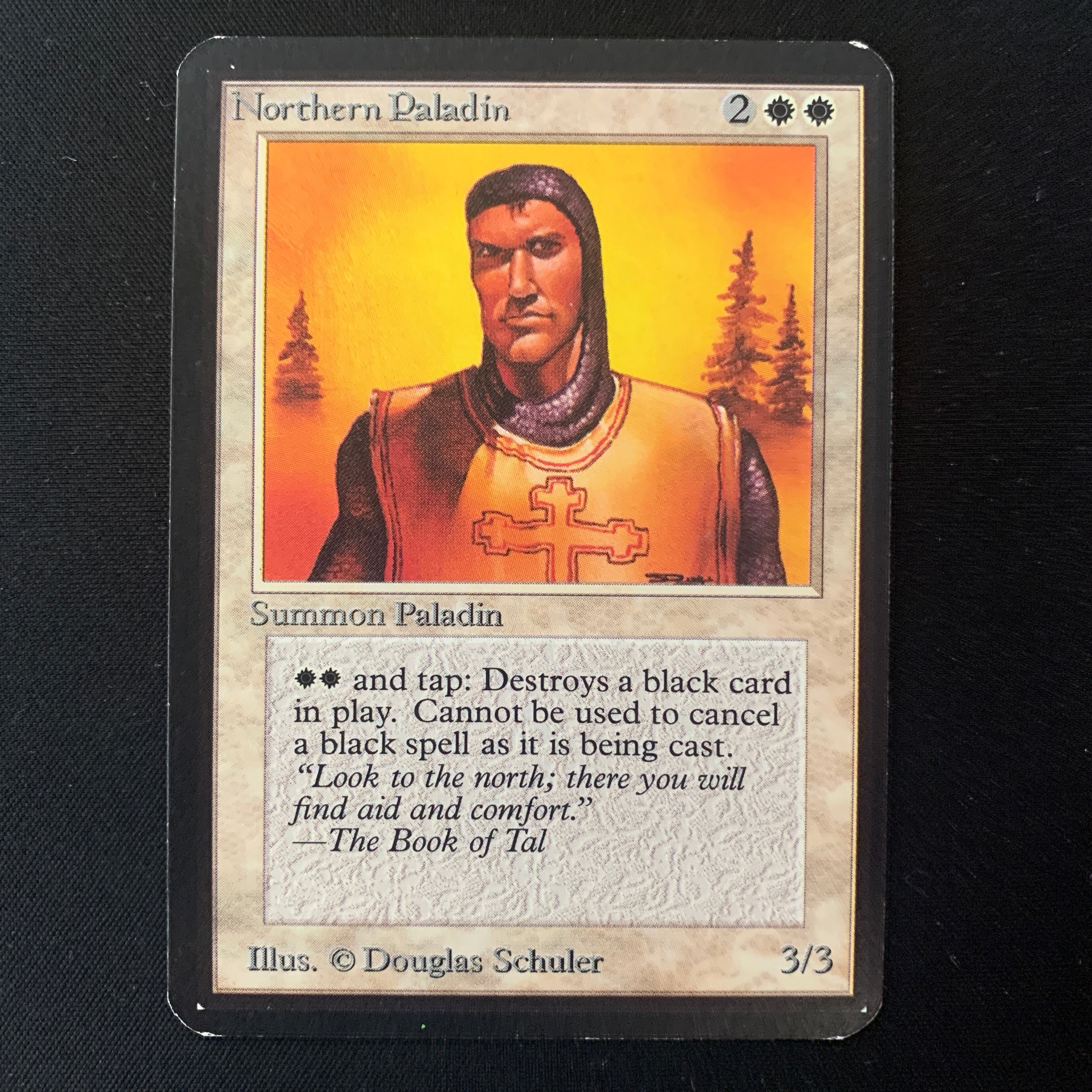 MTG Singles - Northern Paladin - Alpha -