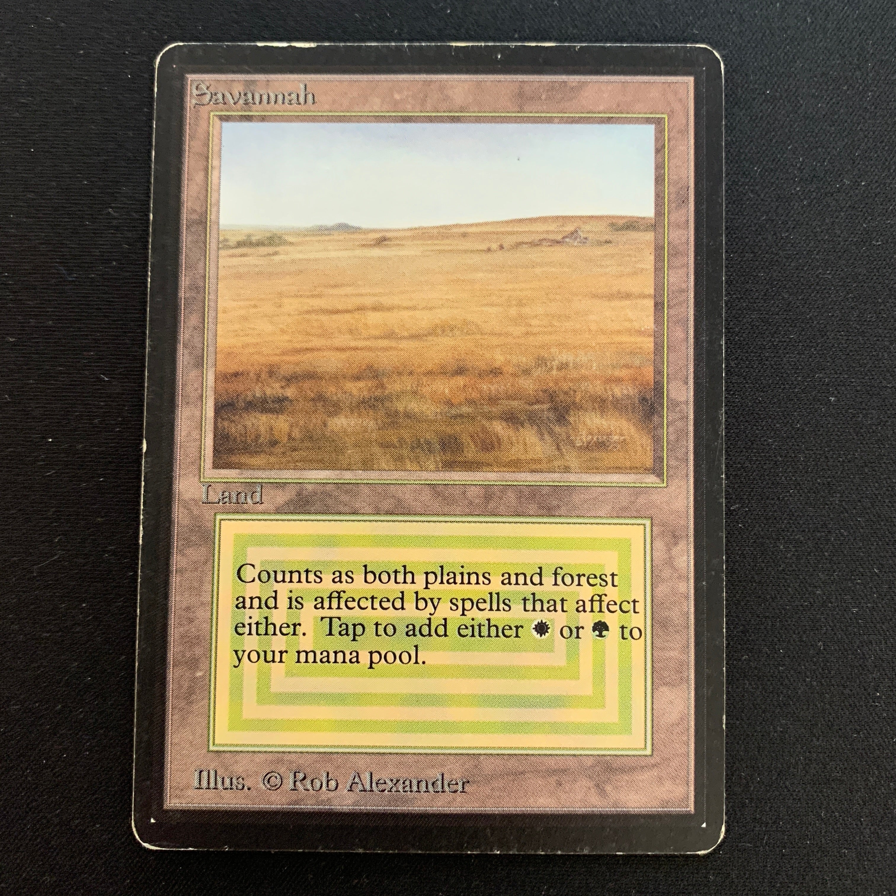 MTG Singles - Savannah - Beta -