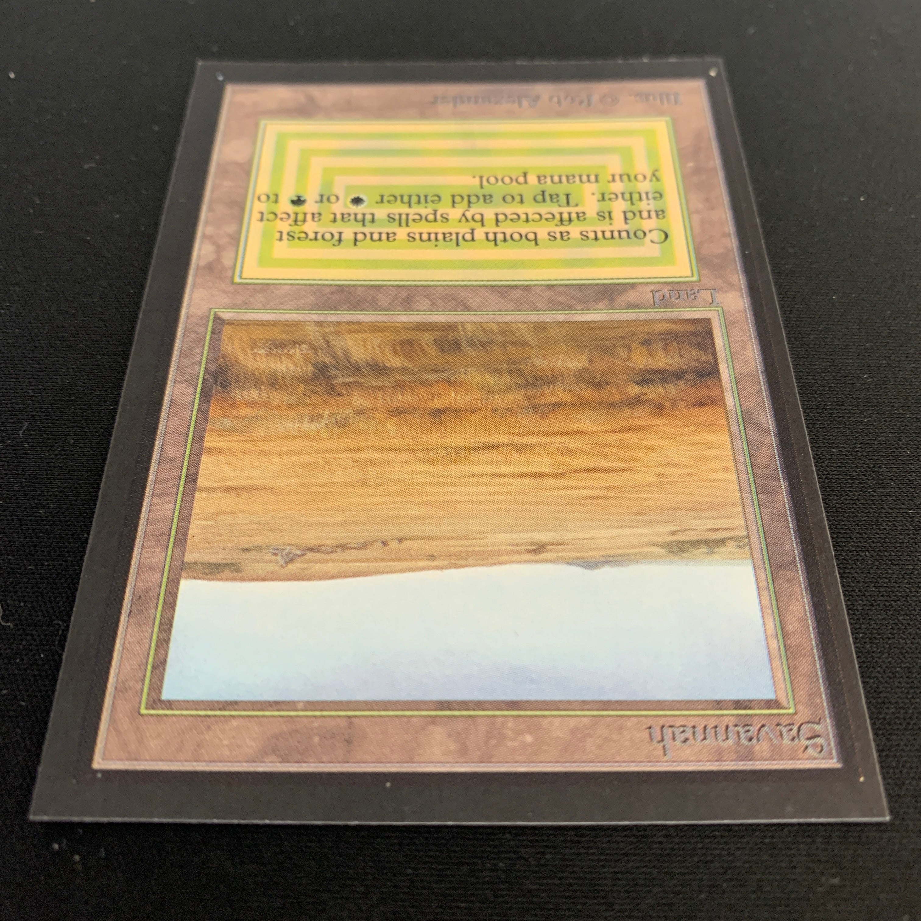 MTG Singles - Savannah - Collectors' Edition -