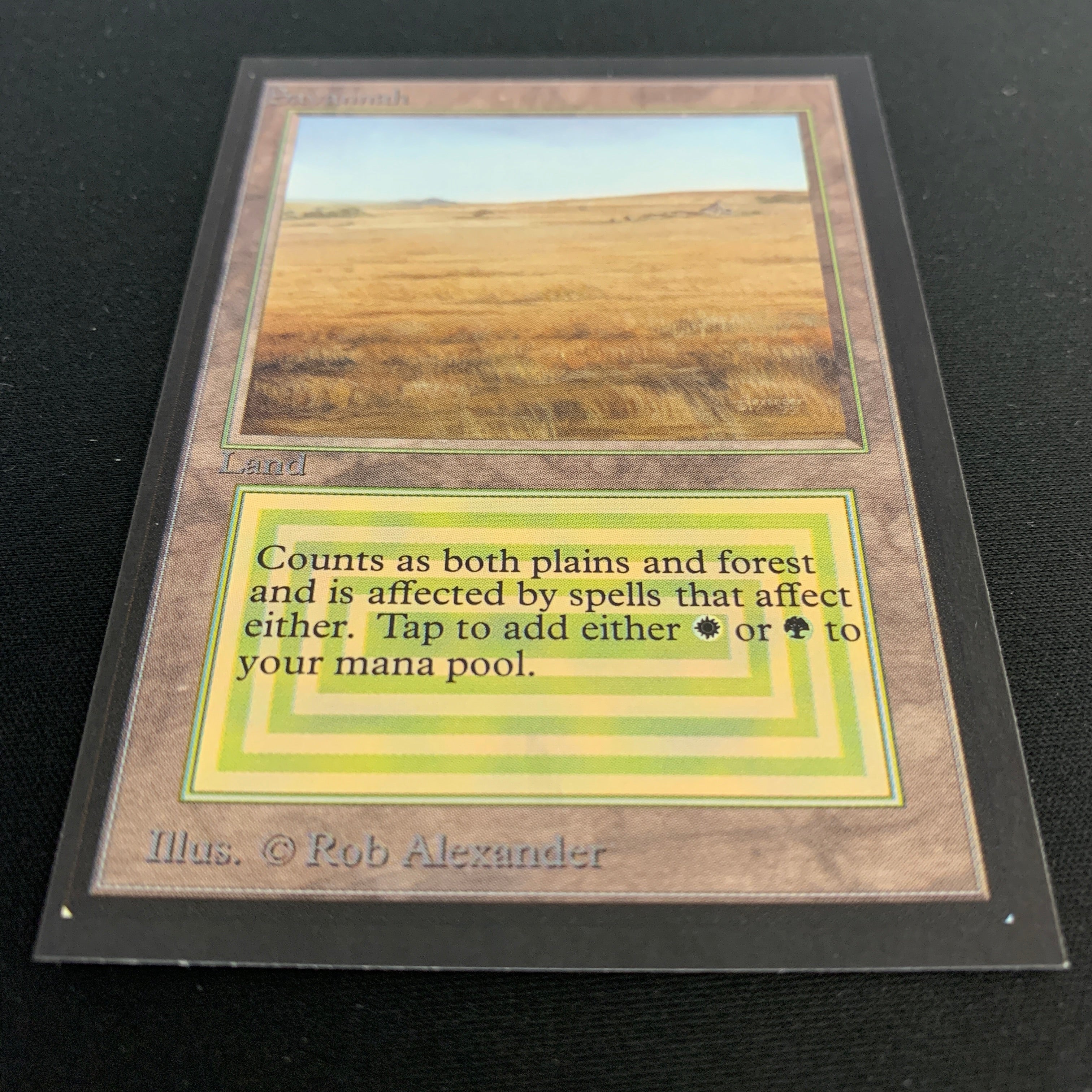 MTG Singles - Savannah - Collectors' Edition -