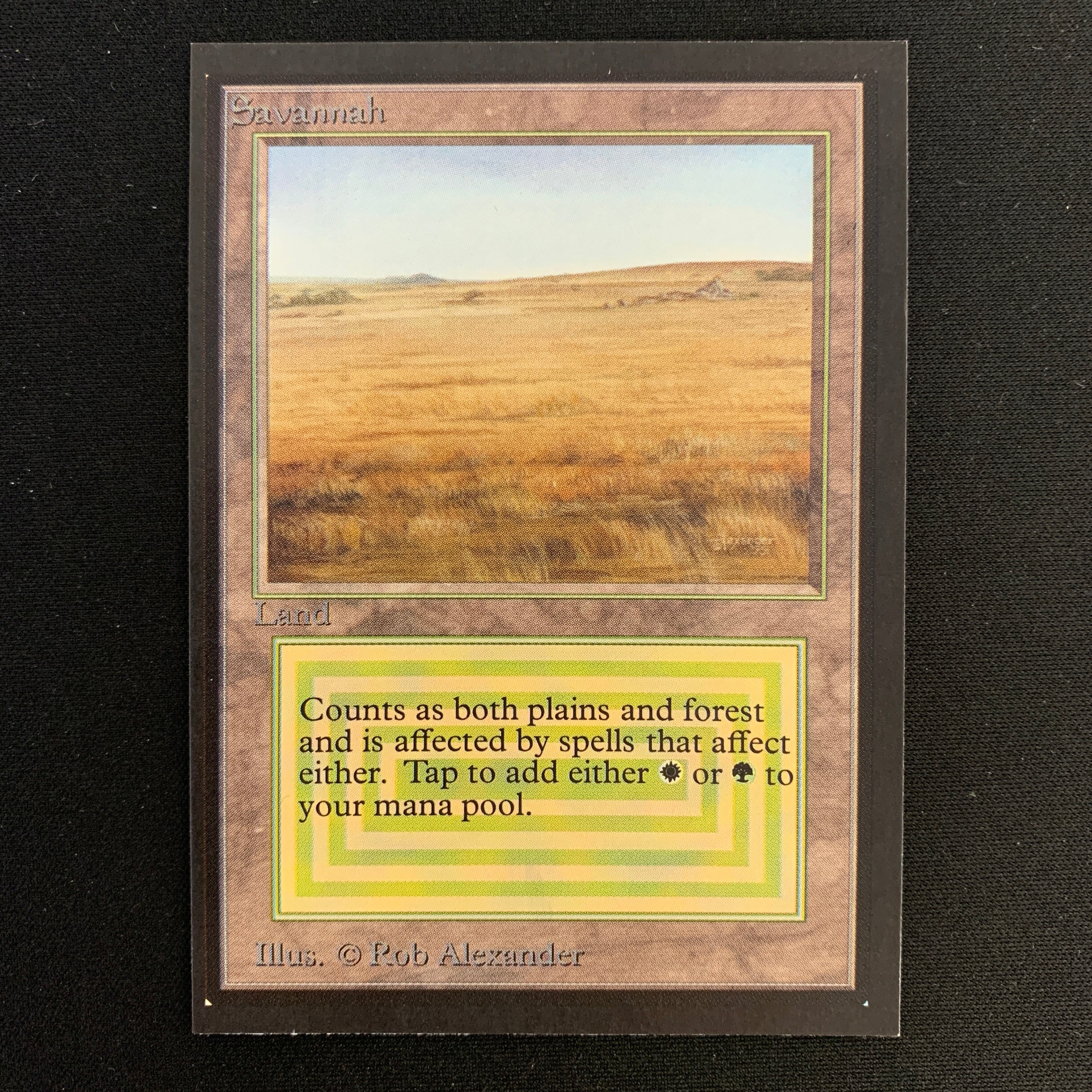 MTG Singles - Savannah - Collectors' Edition -