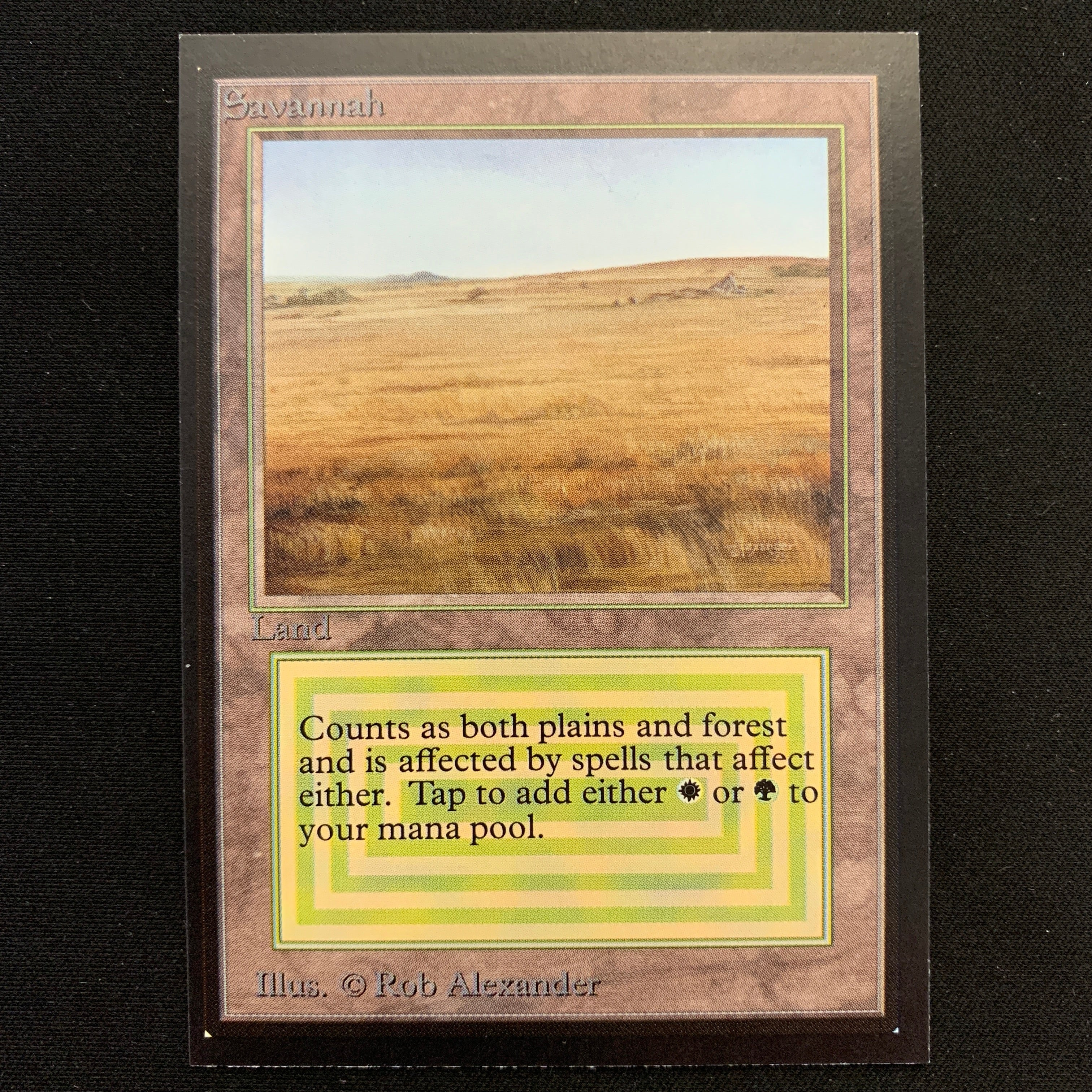 MTG Singles - Savannah - Collectors' Edition -