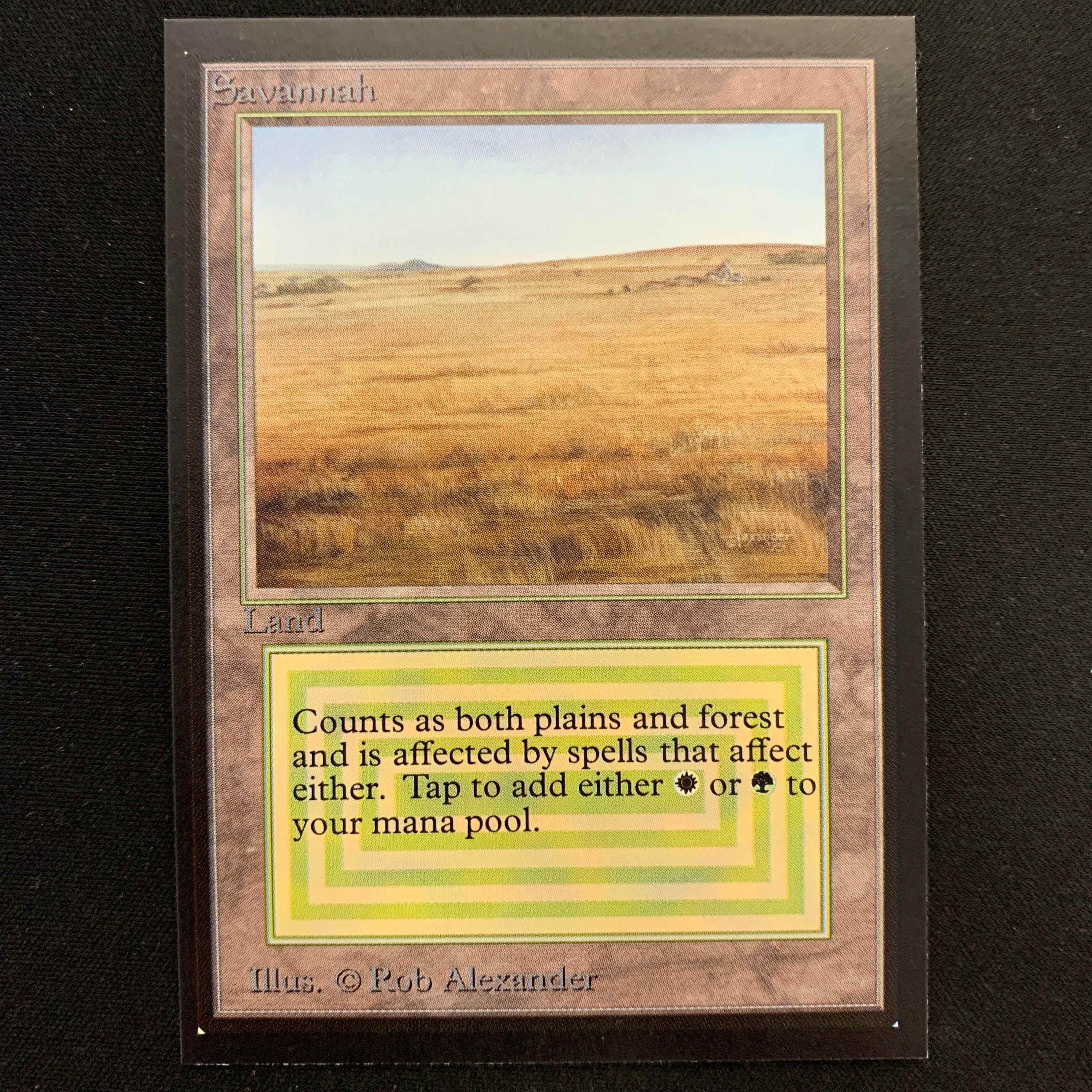 MTG Singles - Savannah - Collectors' Edition -