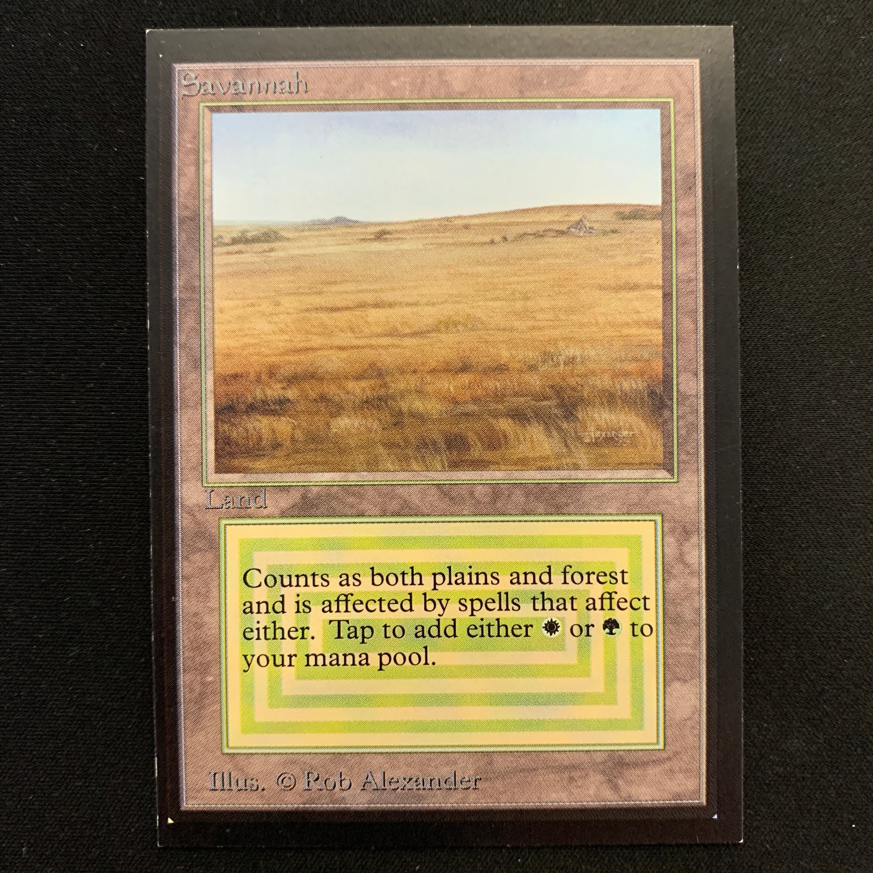 MTG Singles - Savannah - Collectors' Edition -