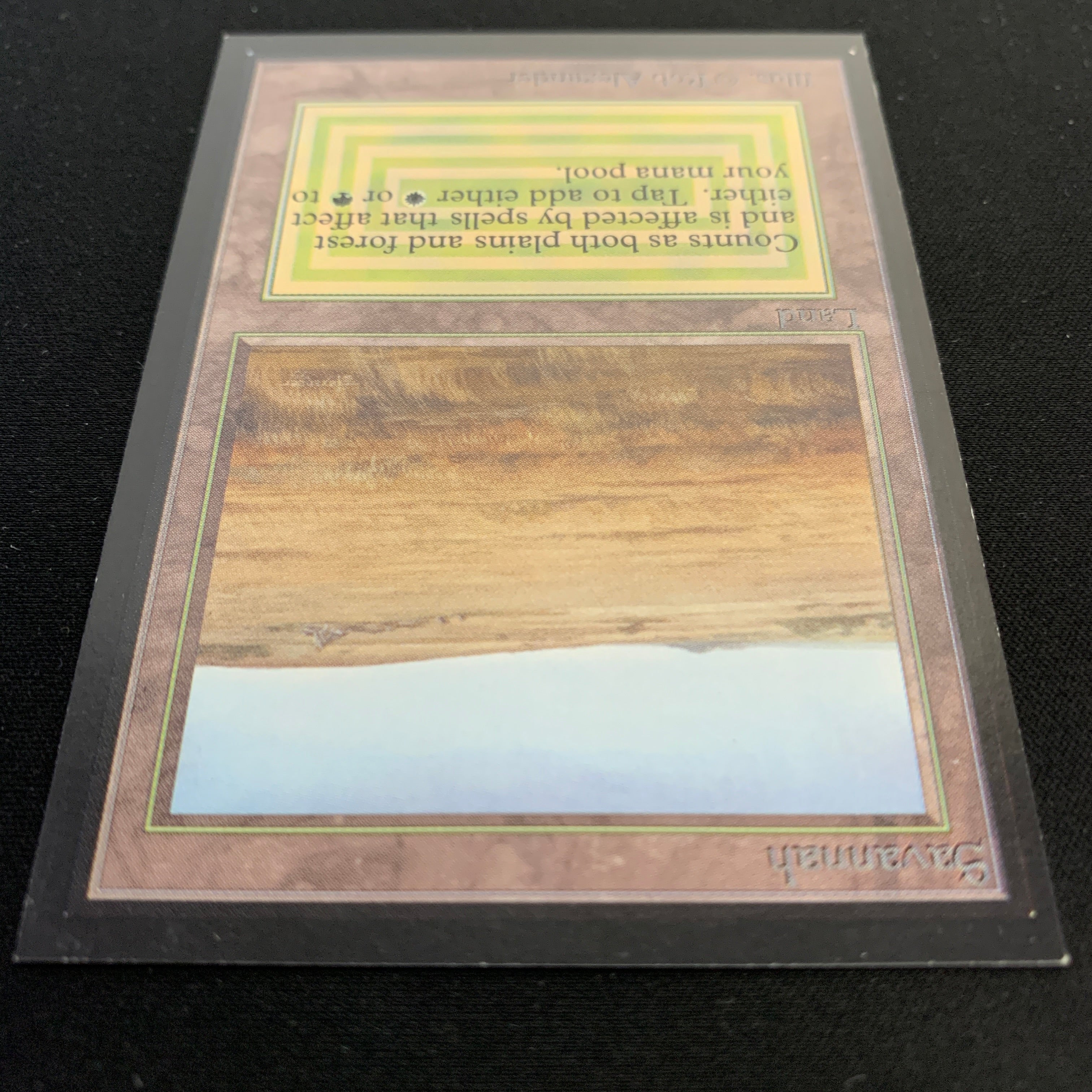 MTG Singles - Savannah - Collectors' Edition -