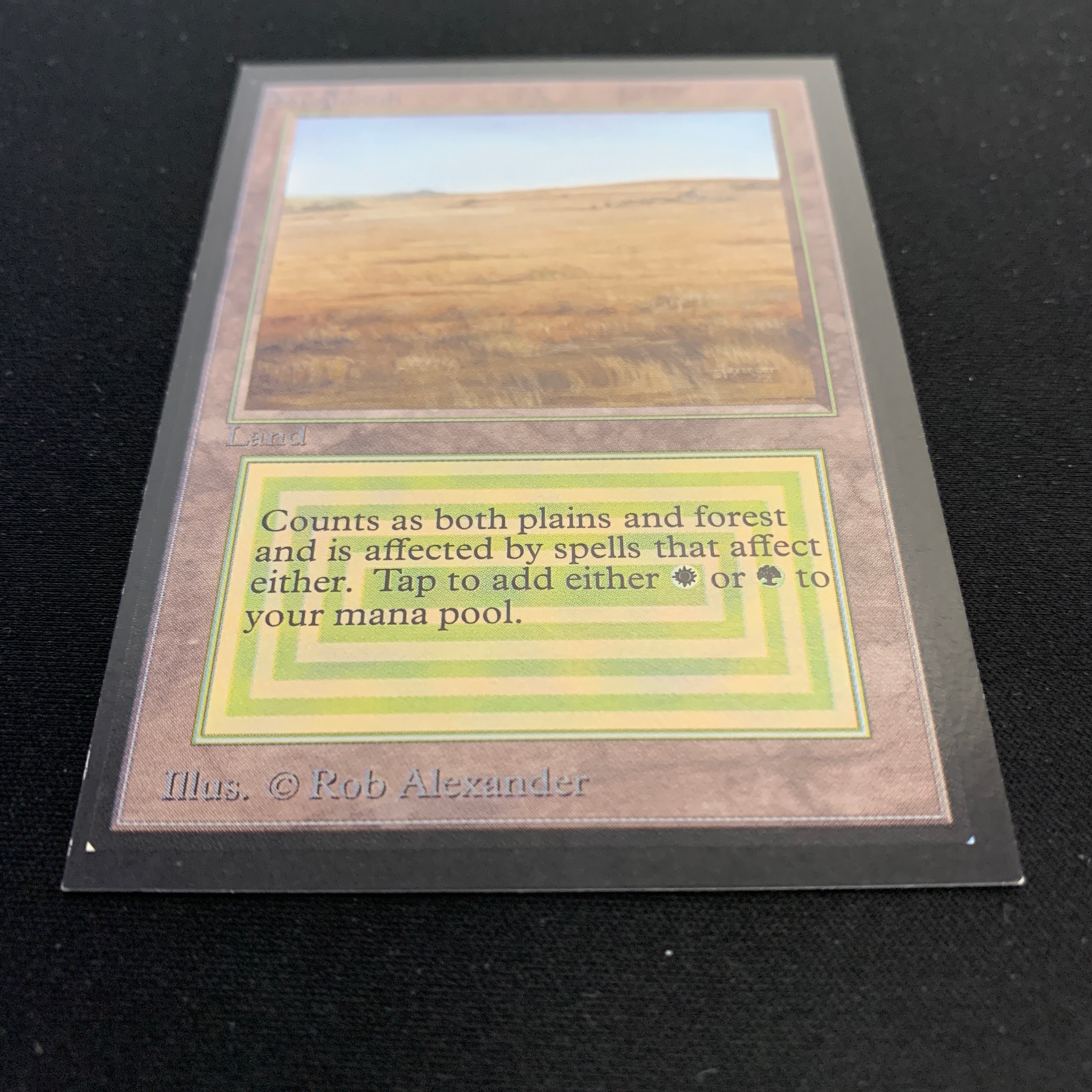 MTG Singles - Savannah - Collectors' Edition -