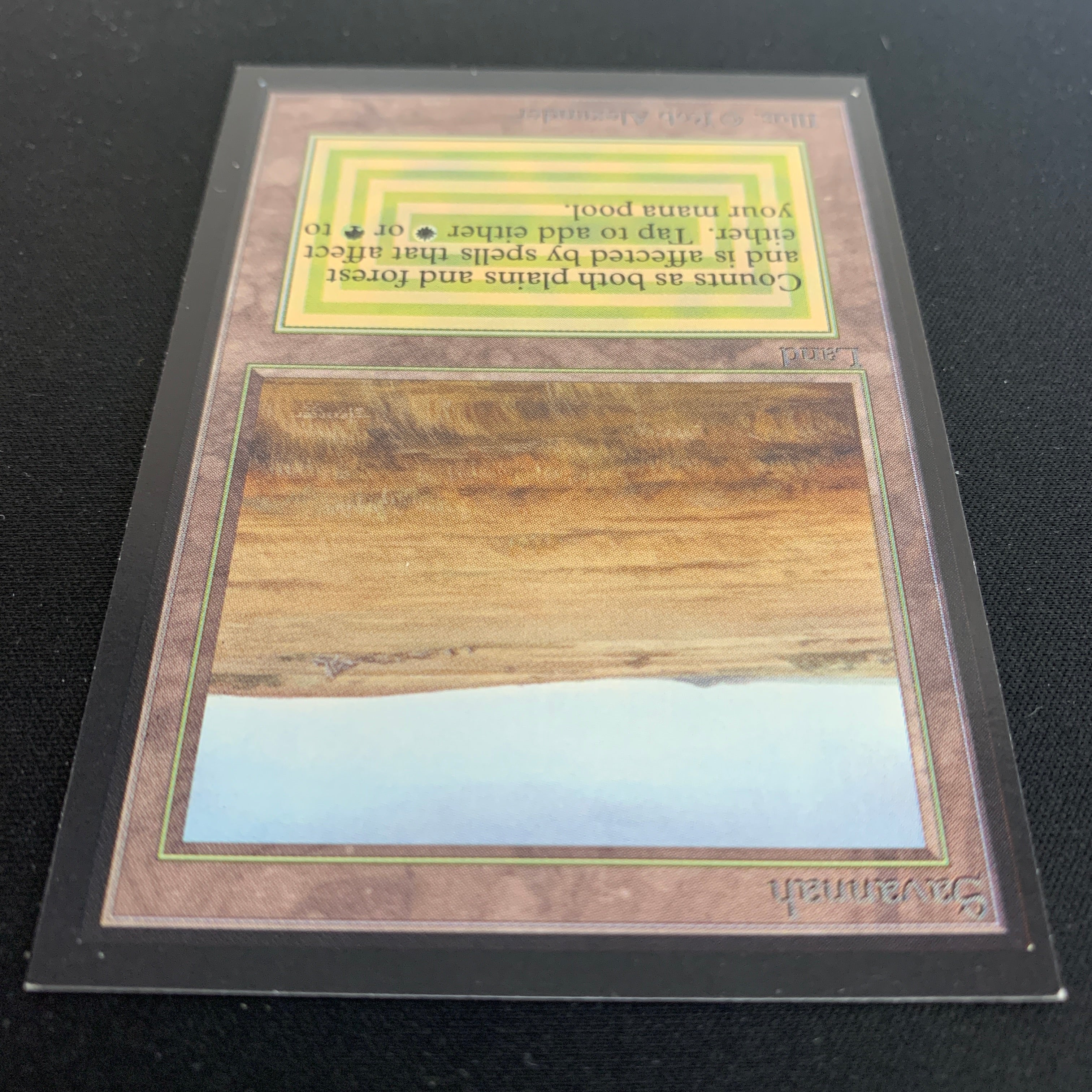 MTG Singles - Savannah - Collectors' Edition -