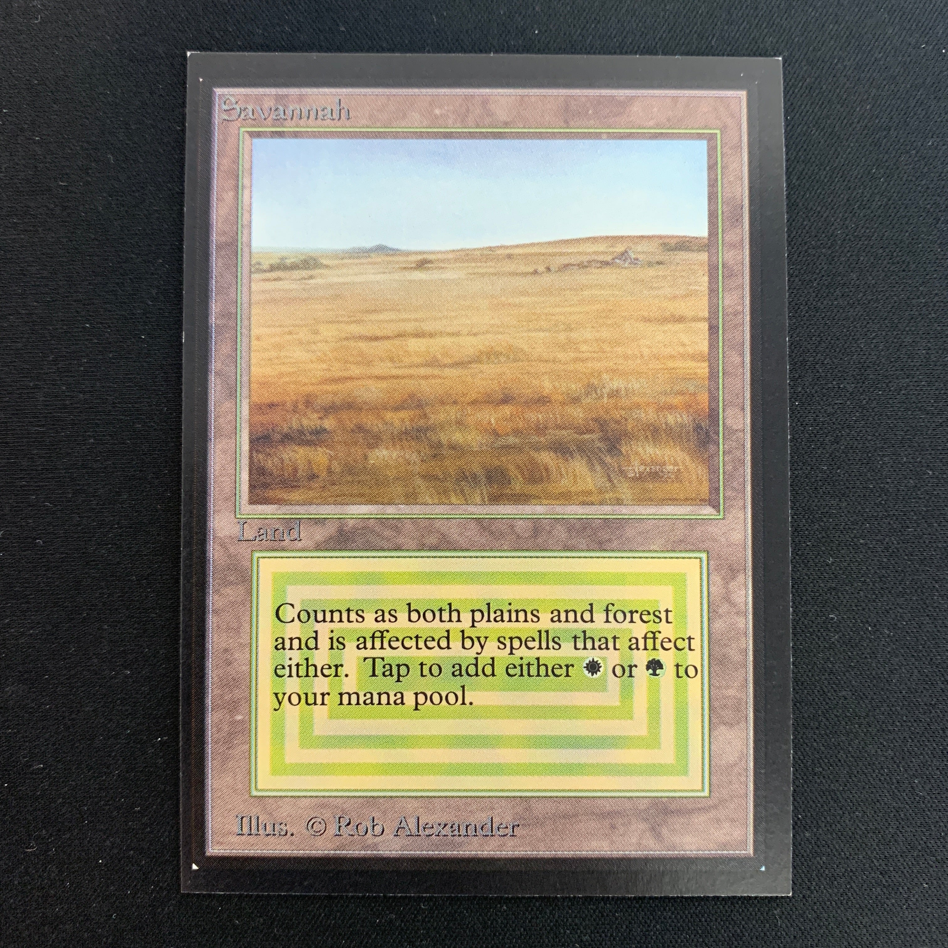 MTG Singles - Savannah - Collectors' Edition -