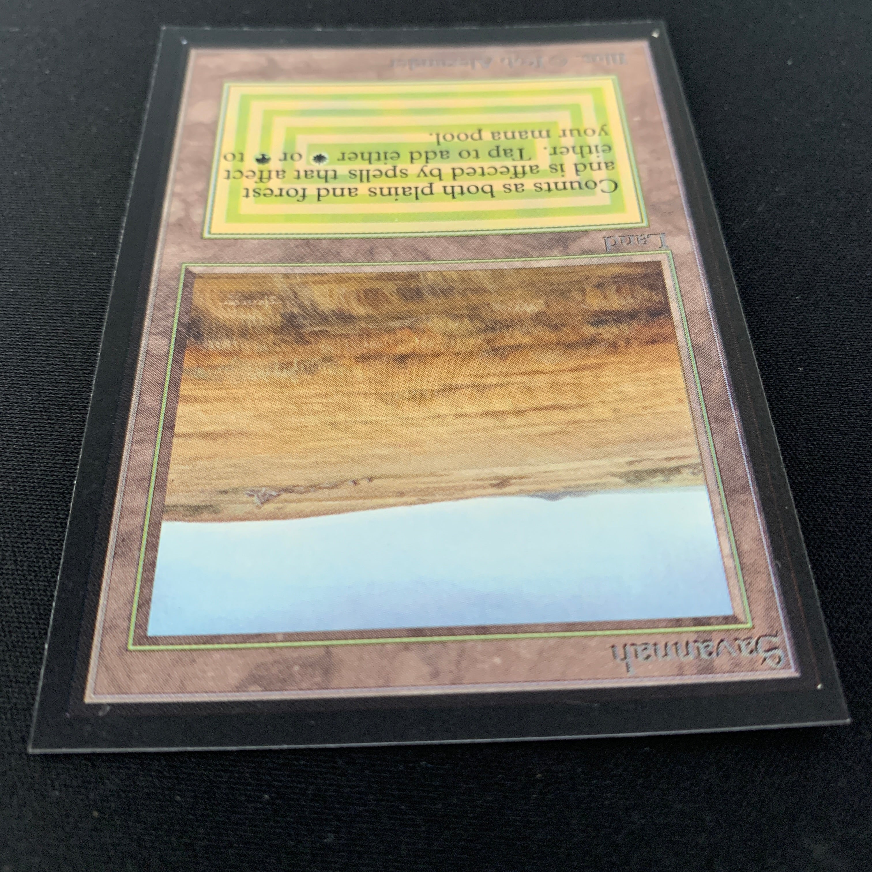 MTG Singles - Savannah - Collectors' Edition -