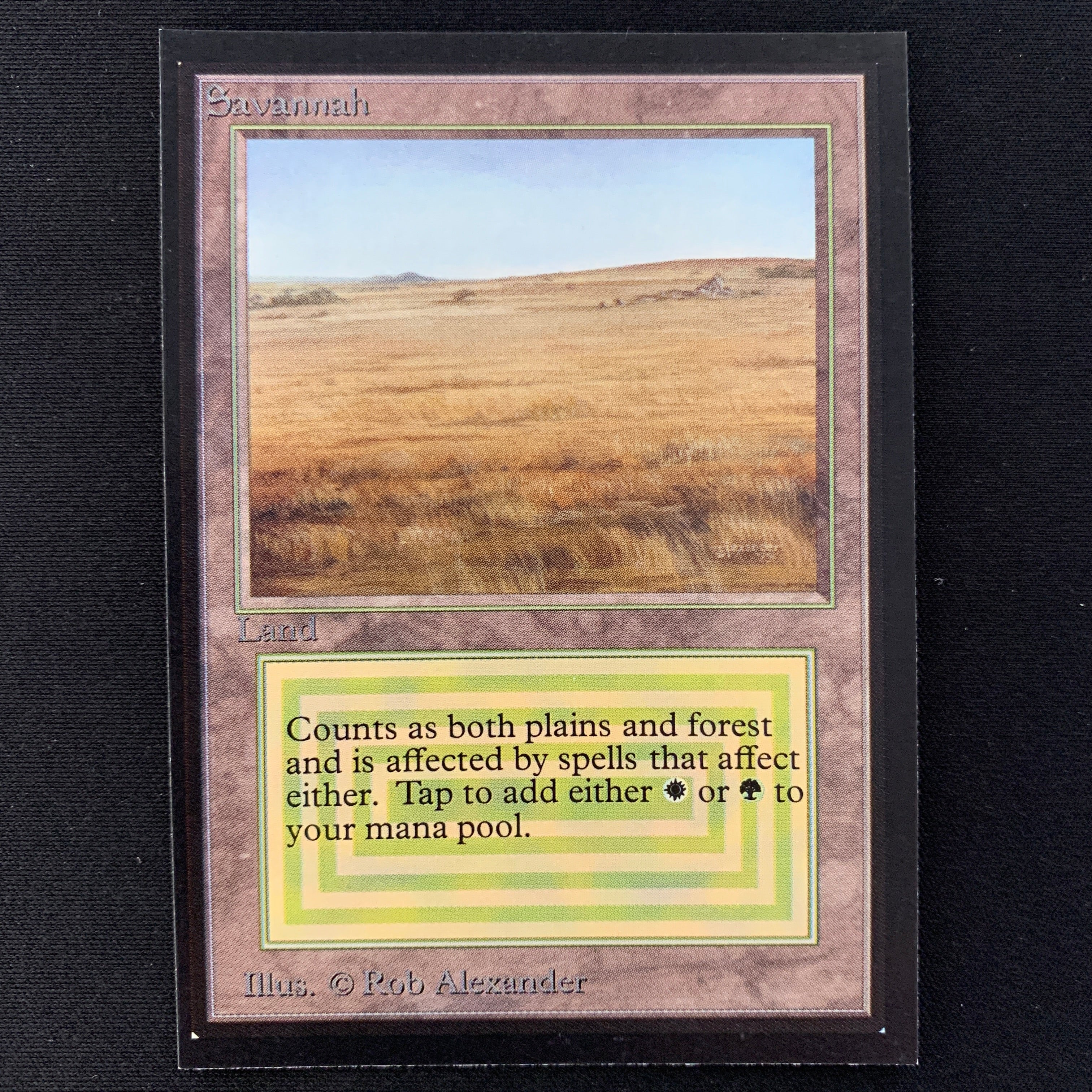 MTG Singles - Savannah - Collectors' Edition -