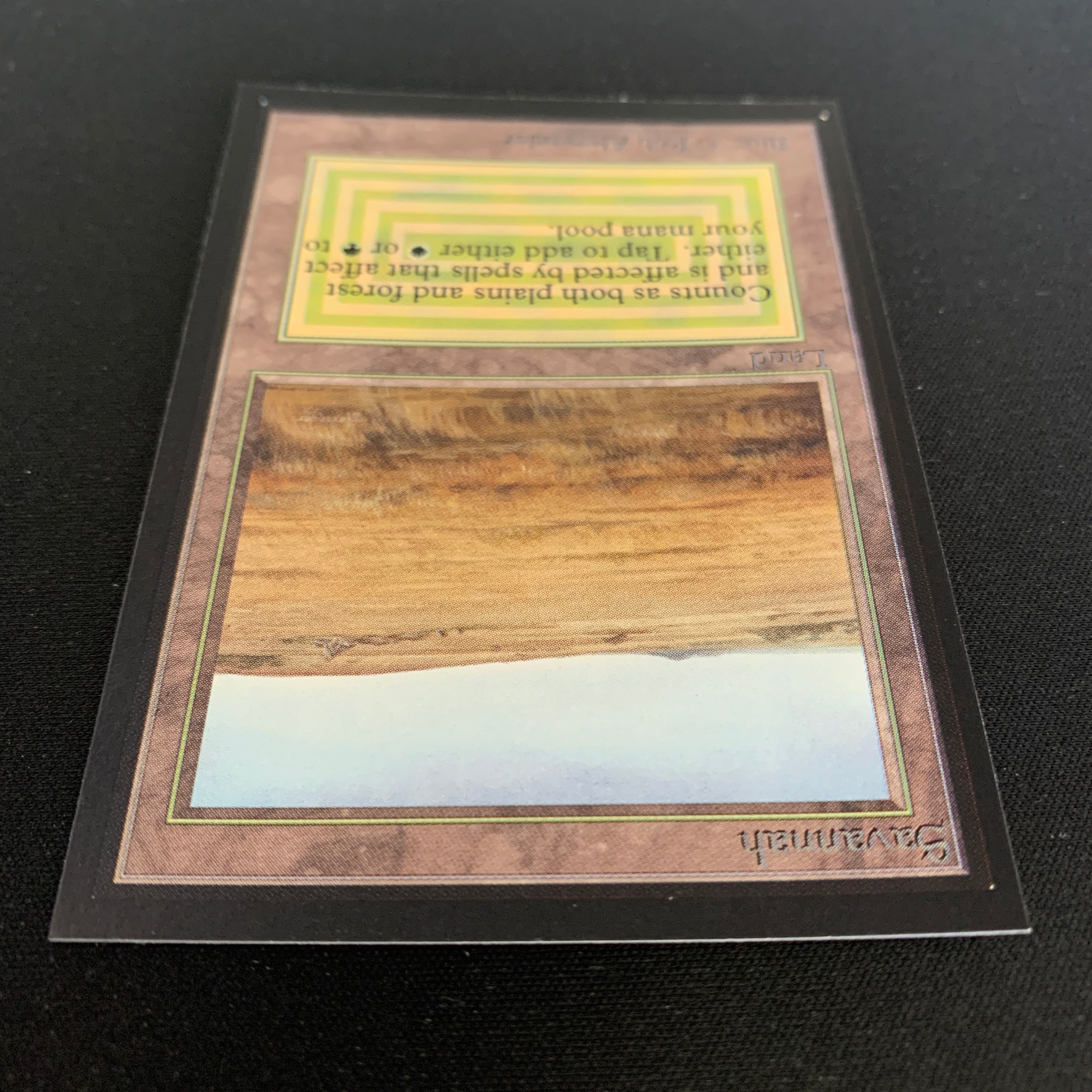 MTG Singles - Savannah - Collectors' Edition -