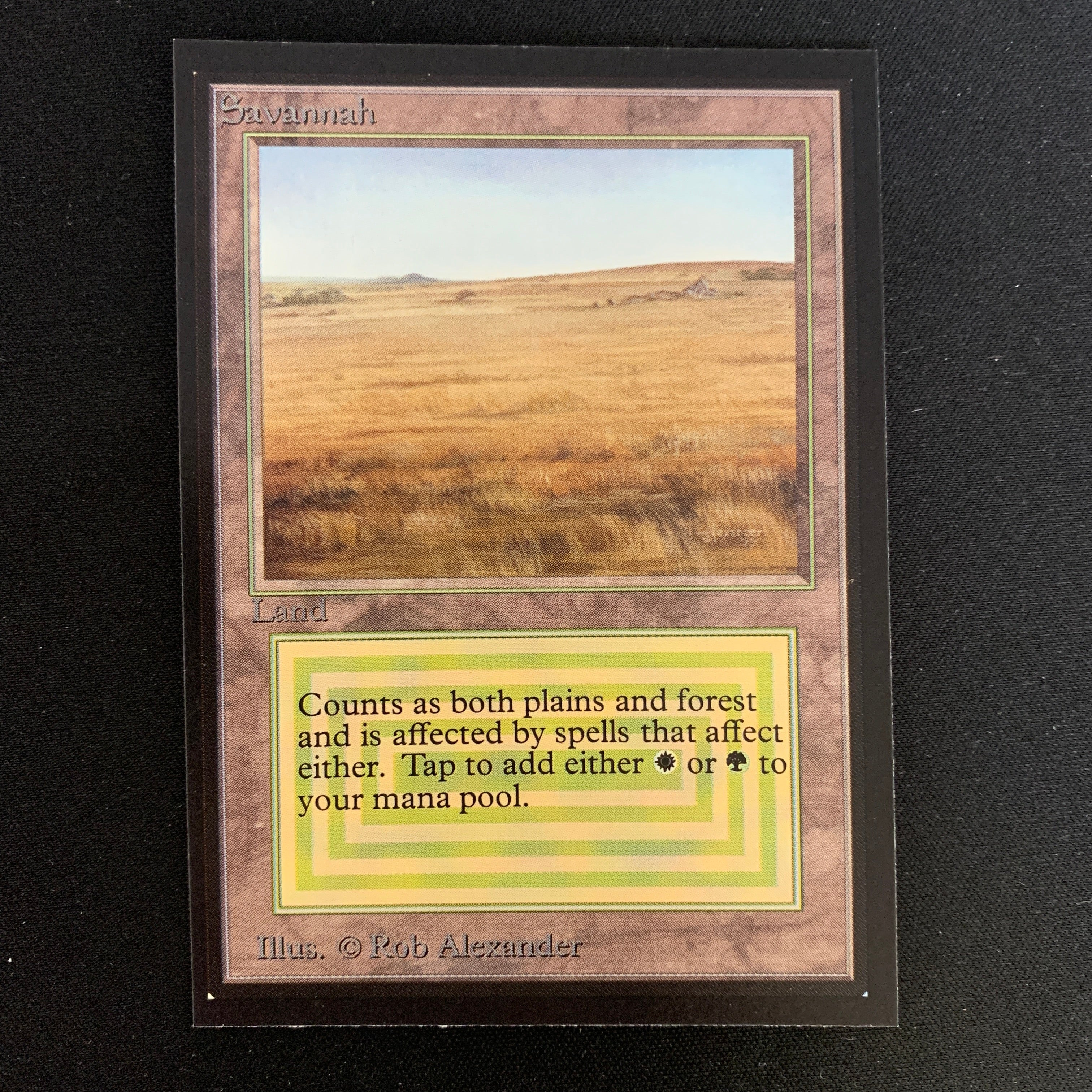 MTG Singles - Savannah - Collectors' Edition -