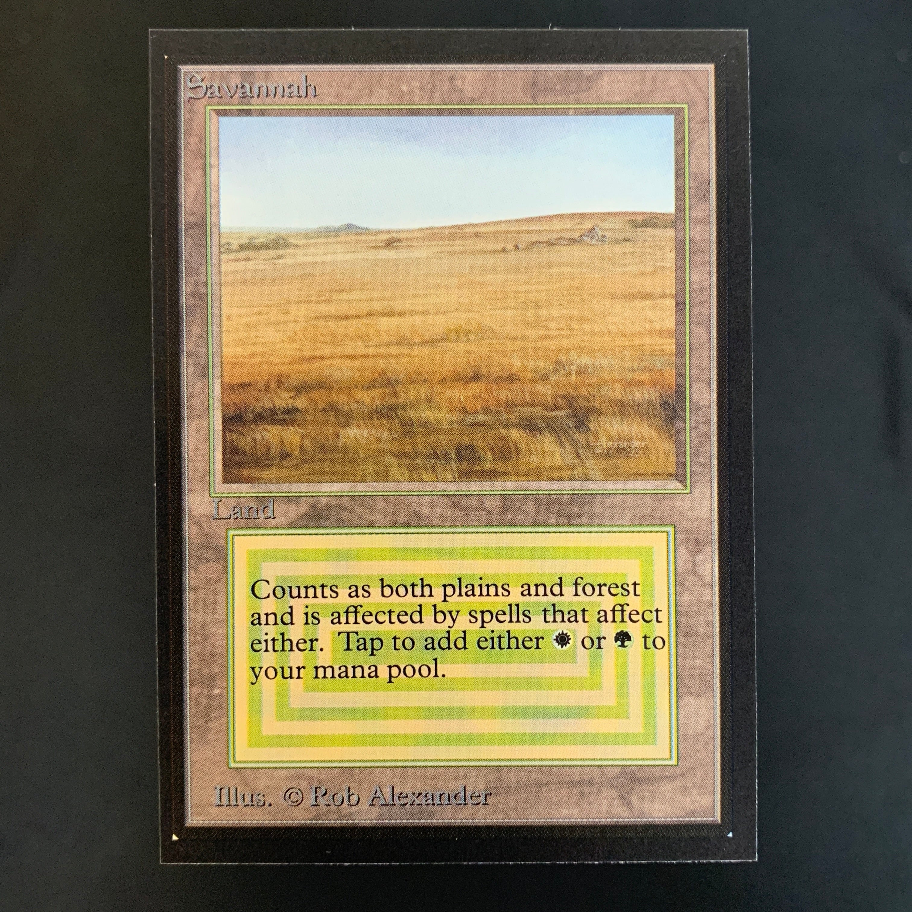 MTG Singles - Savannah - Collectors' Edition -