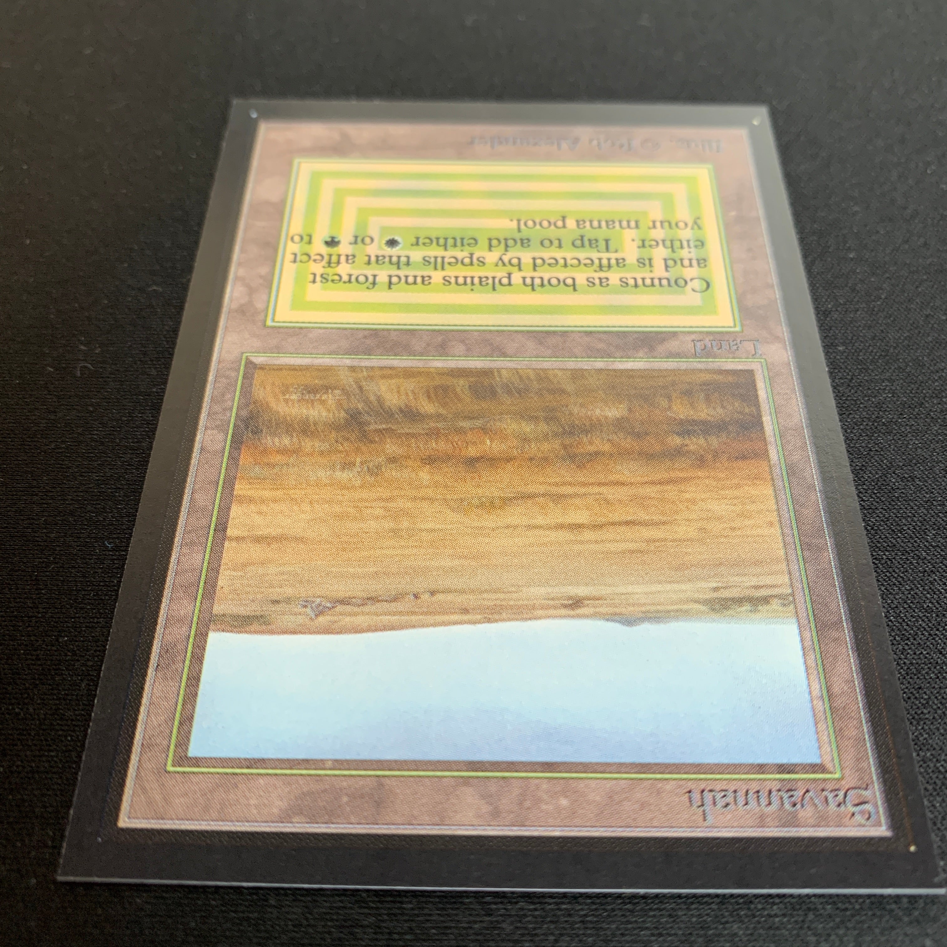 MTG Singles - Savannah - Collectors' Edition -