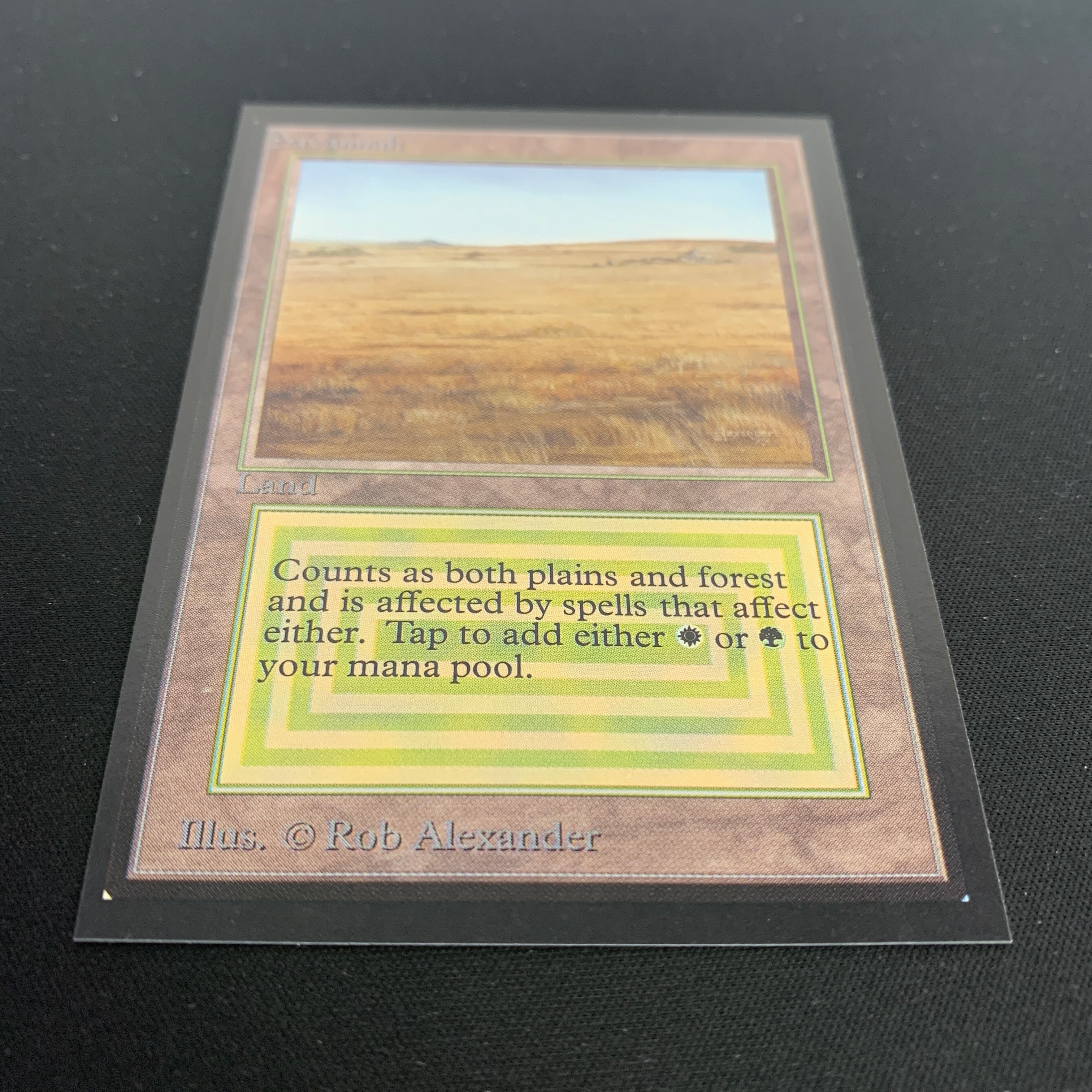 MTG Singles - Savannah - International Edition -