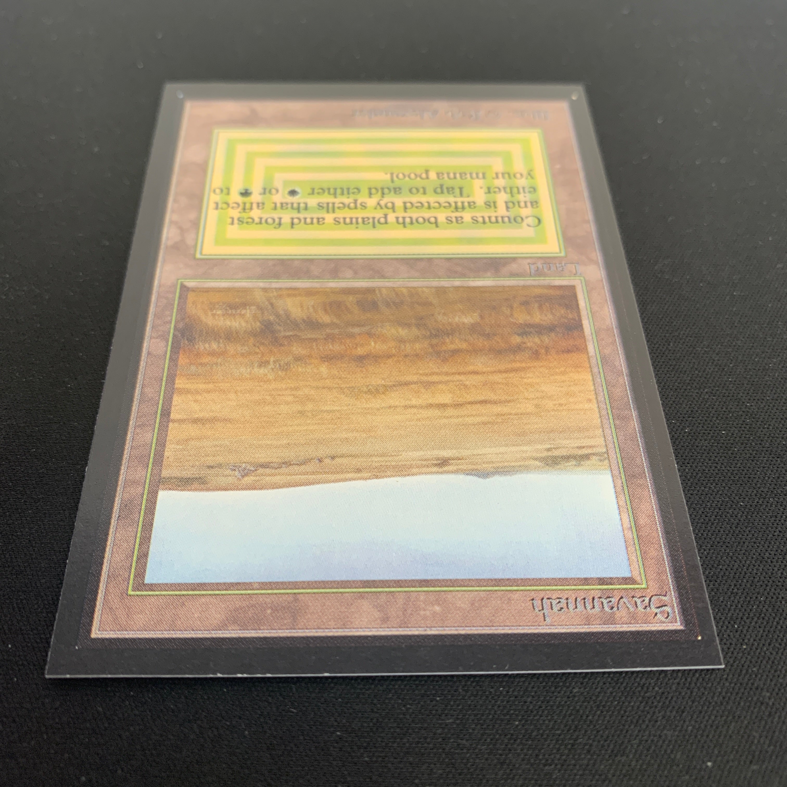 MTG Singles - Savannah - International Edition -