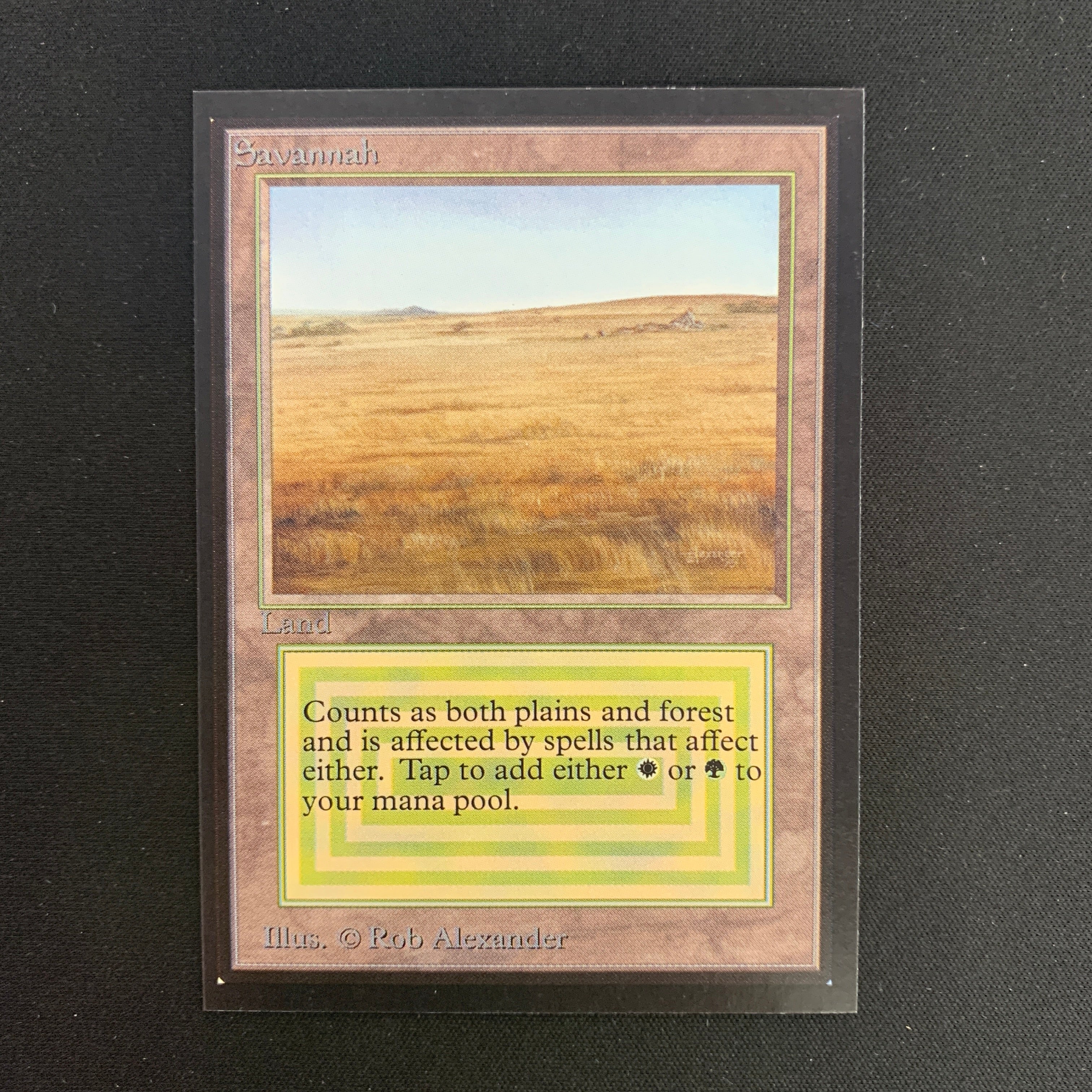 MTG Singles - Savannah - International Edition -