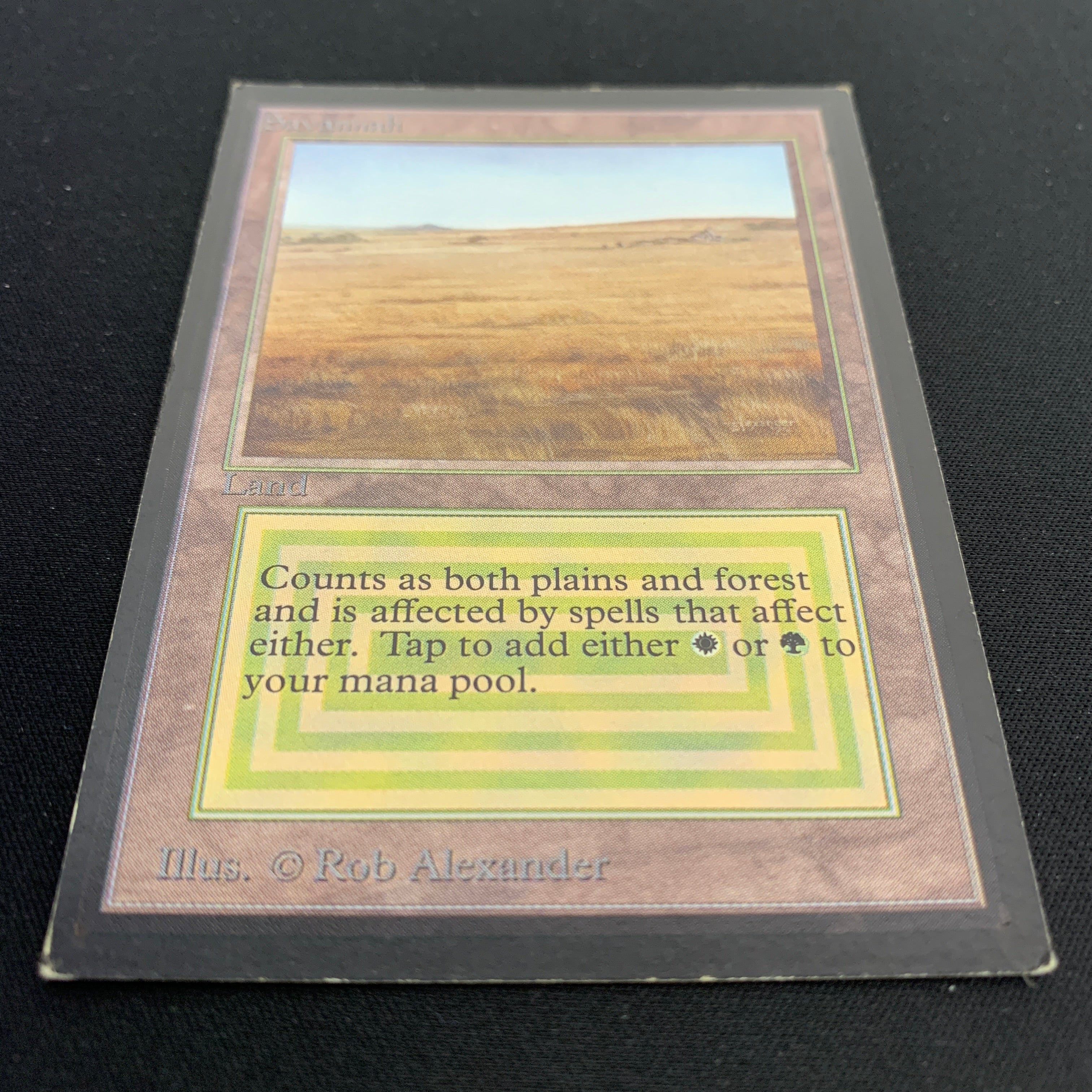 MTG Singles - Savannah - International Edition -