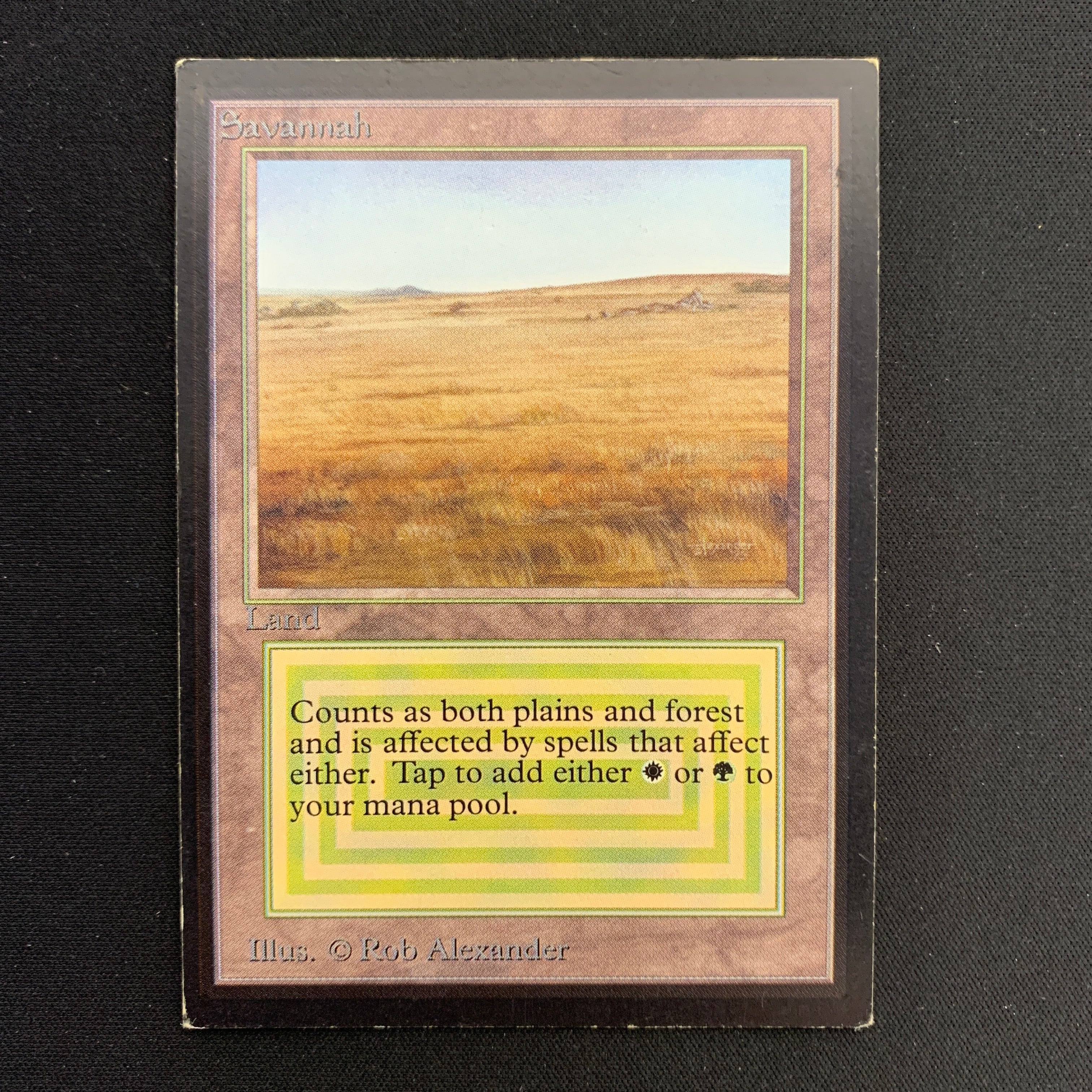 MTG Singles - Savannah - International Edition -