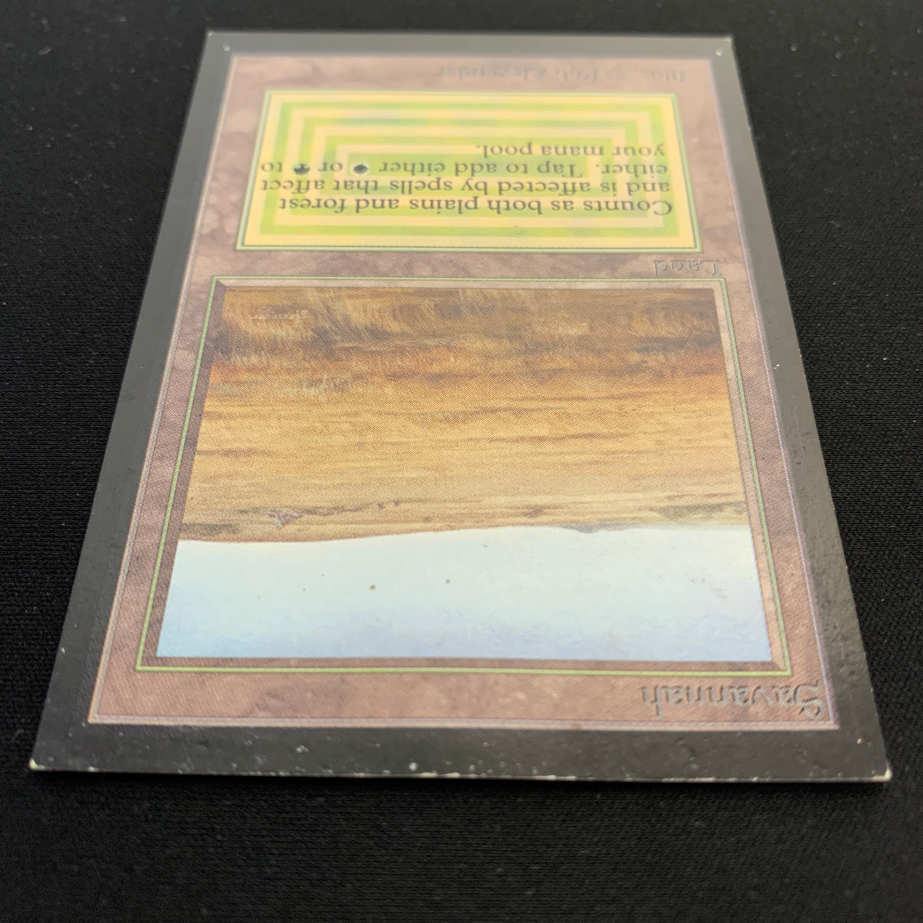 MTG Singles - Savannah - International Edition -