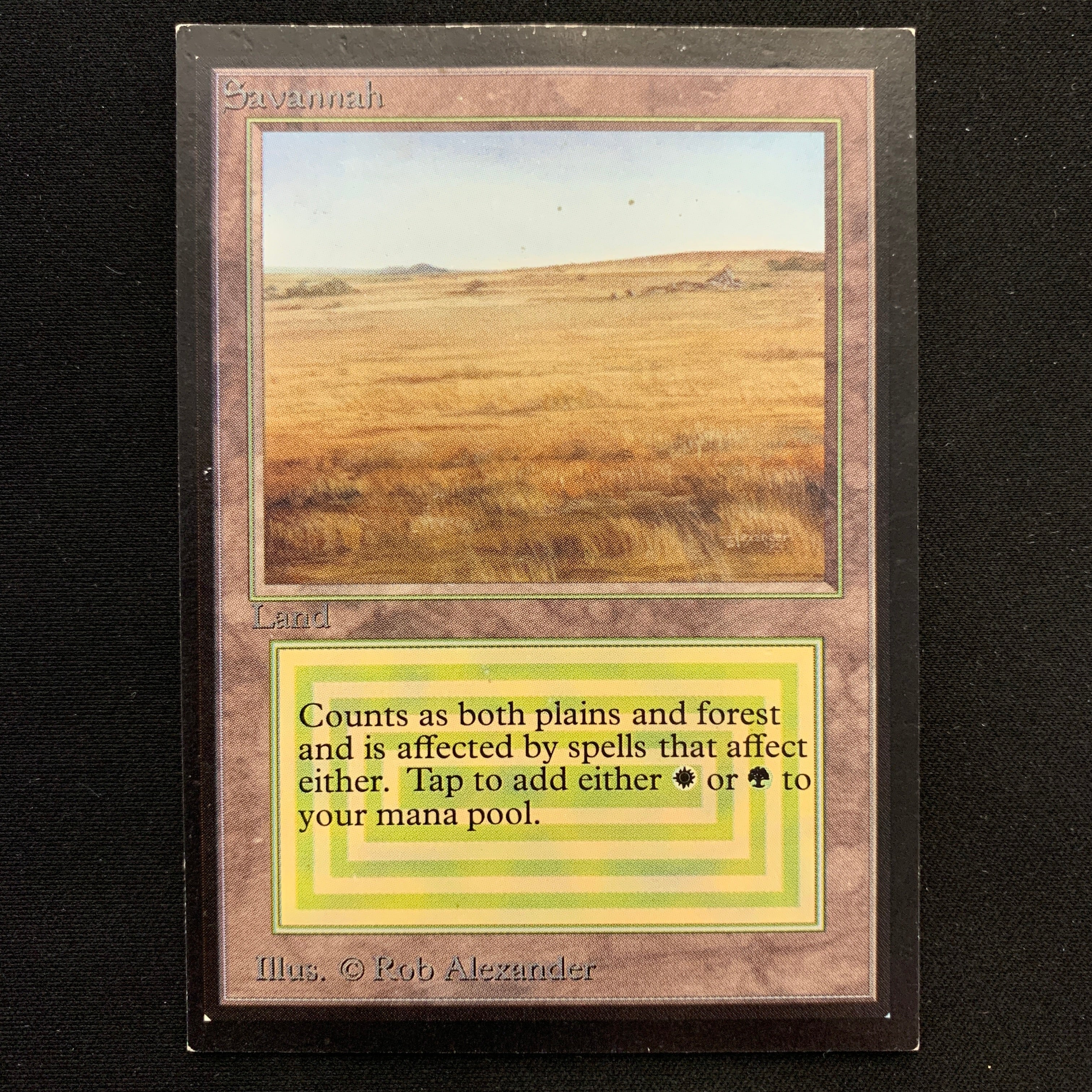 MTG Singles - Savannah - International Edition -