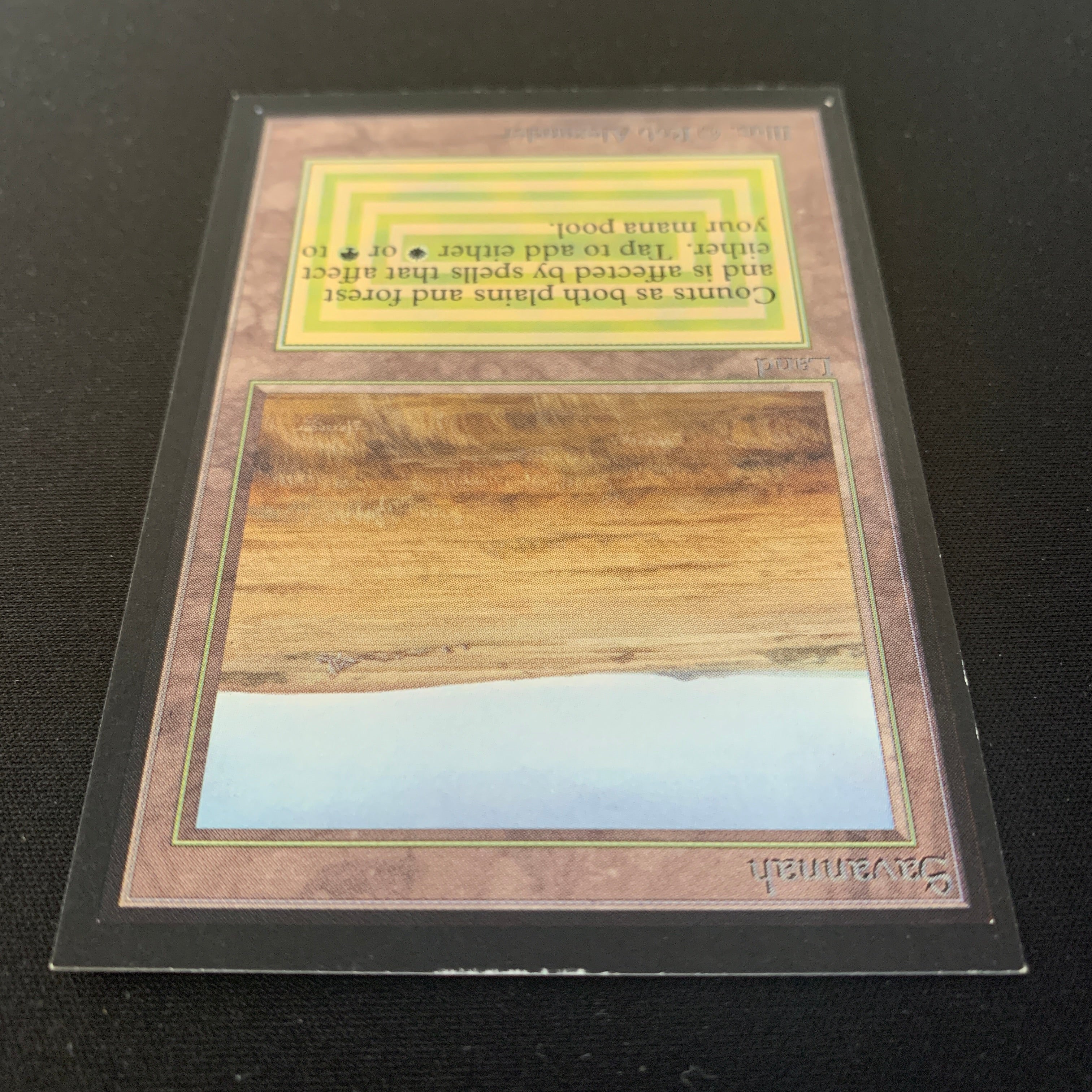 MTG Singles - Savannah - International Edition -