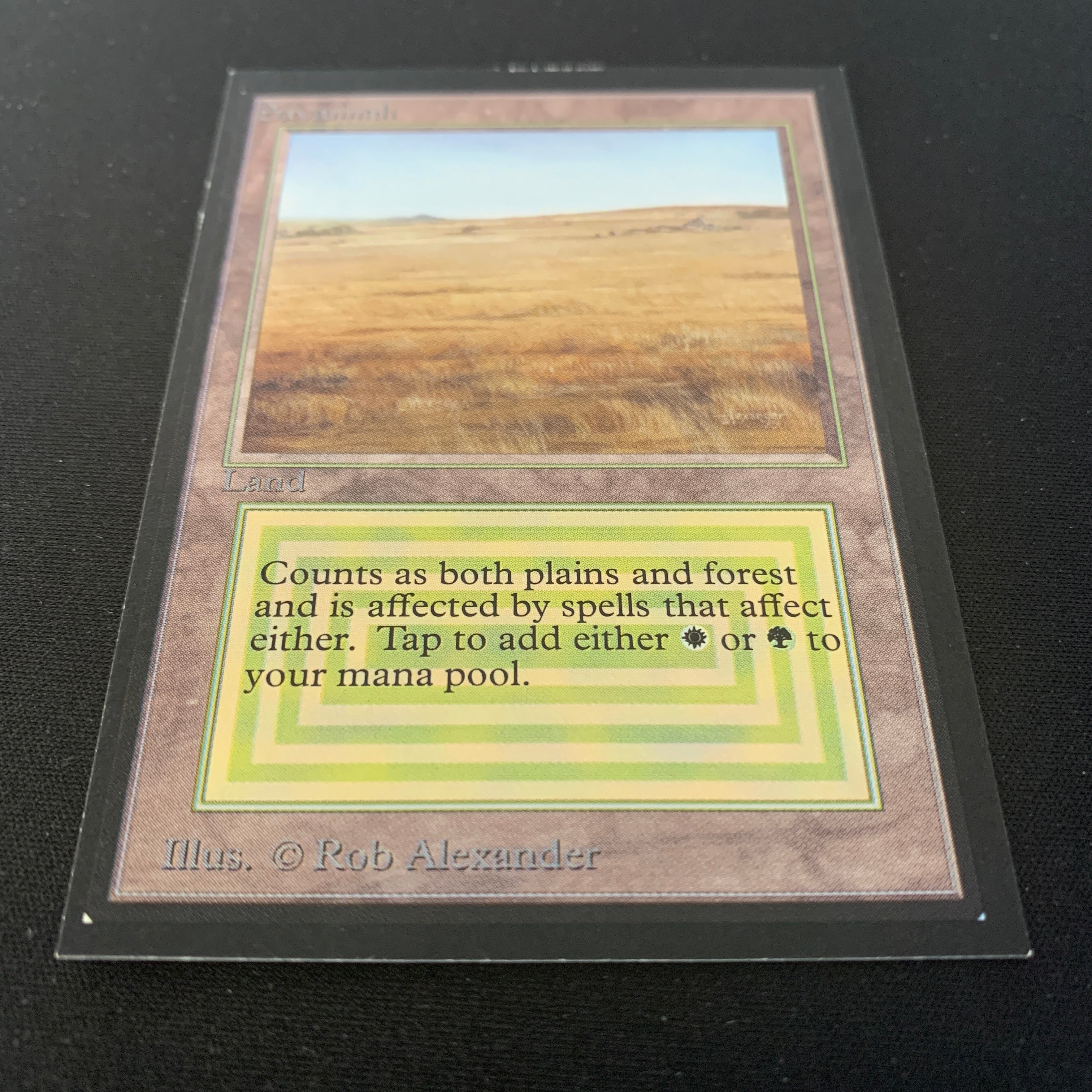 MTG Singles - Savannah - International Edition -