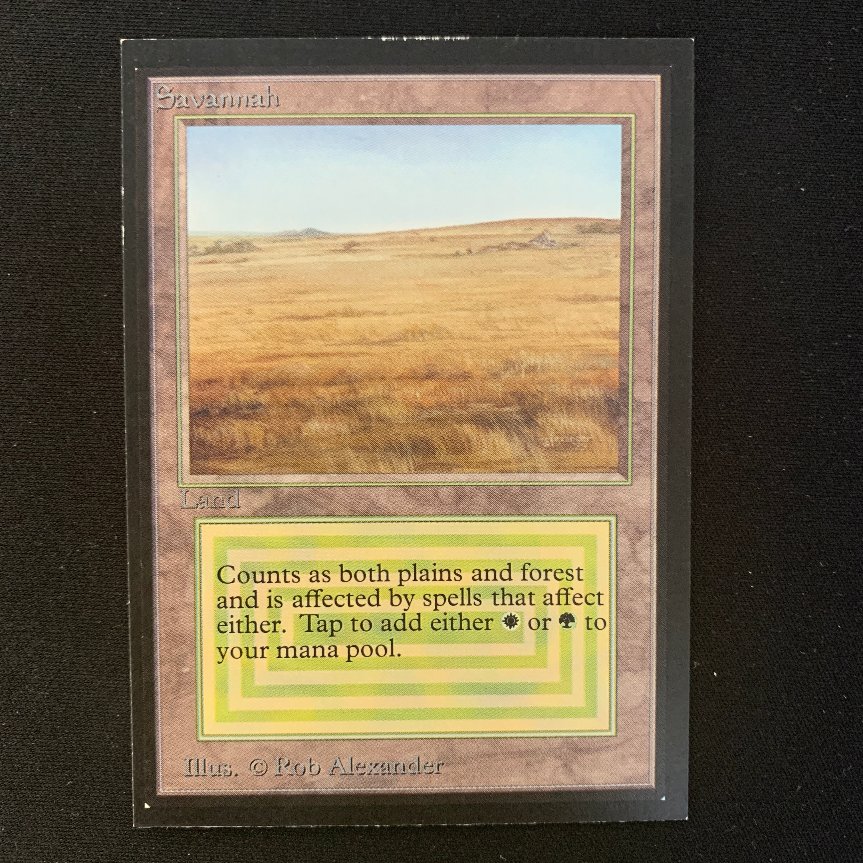 MTG Singles - Savannah - International Edition -