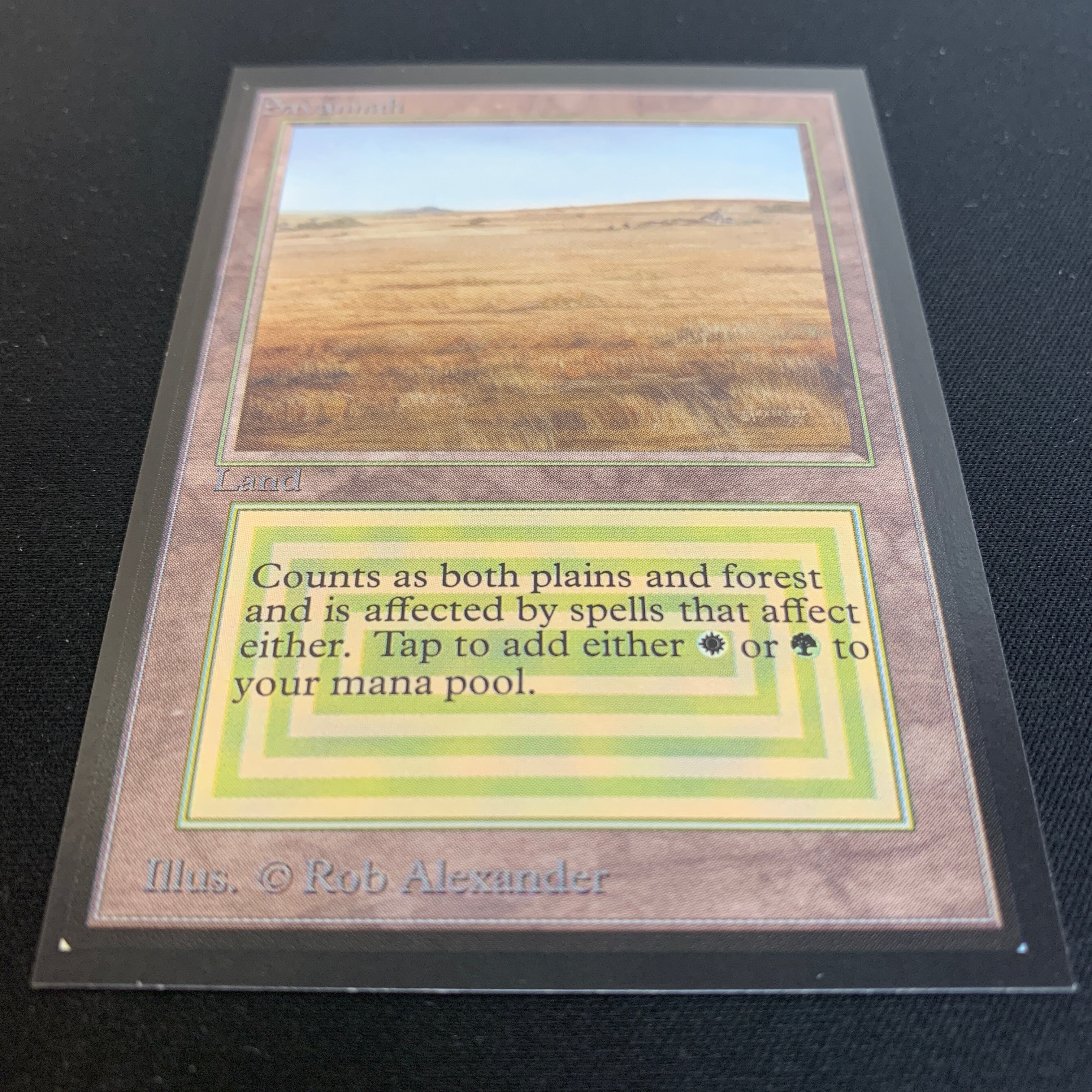 MTG Singles - Savannah - International Edition -