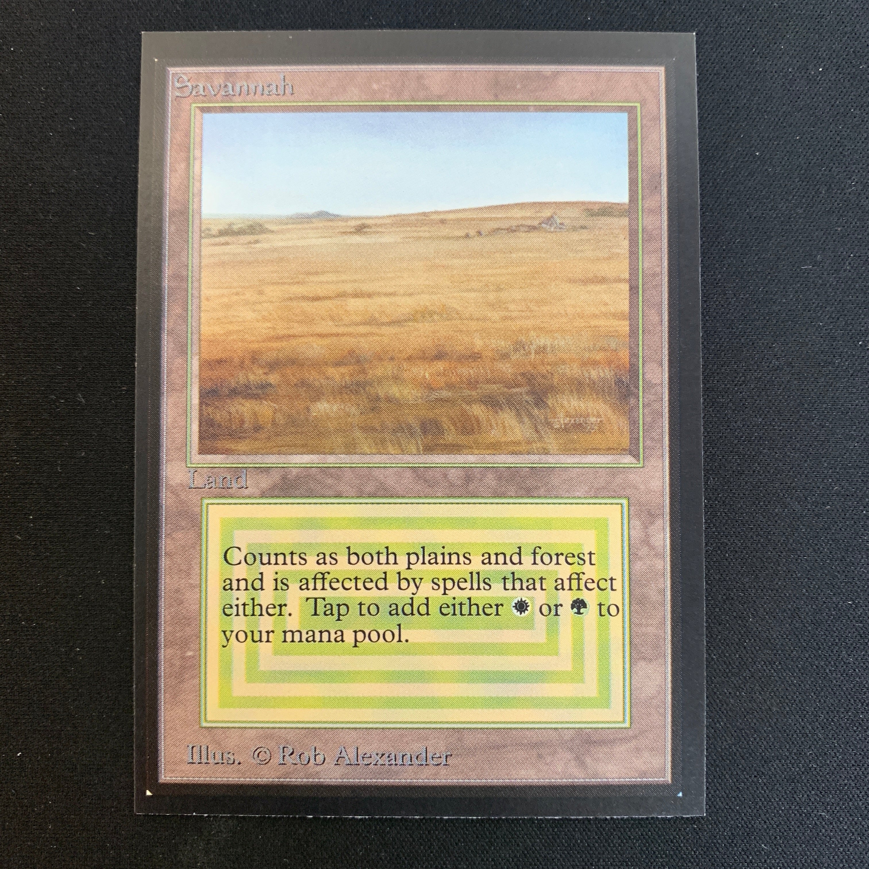 MTG Singles - Savannah - International Edition -