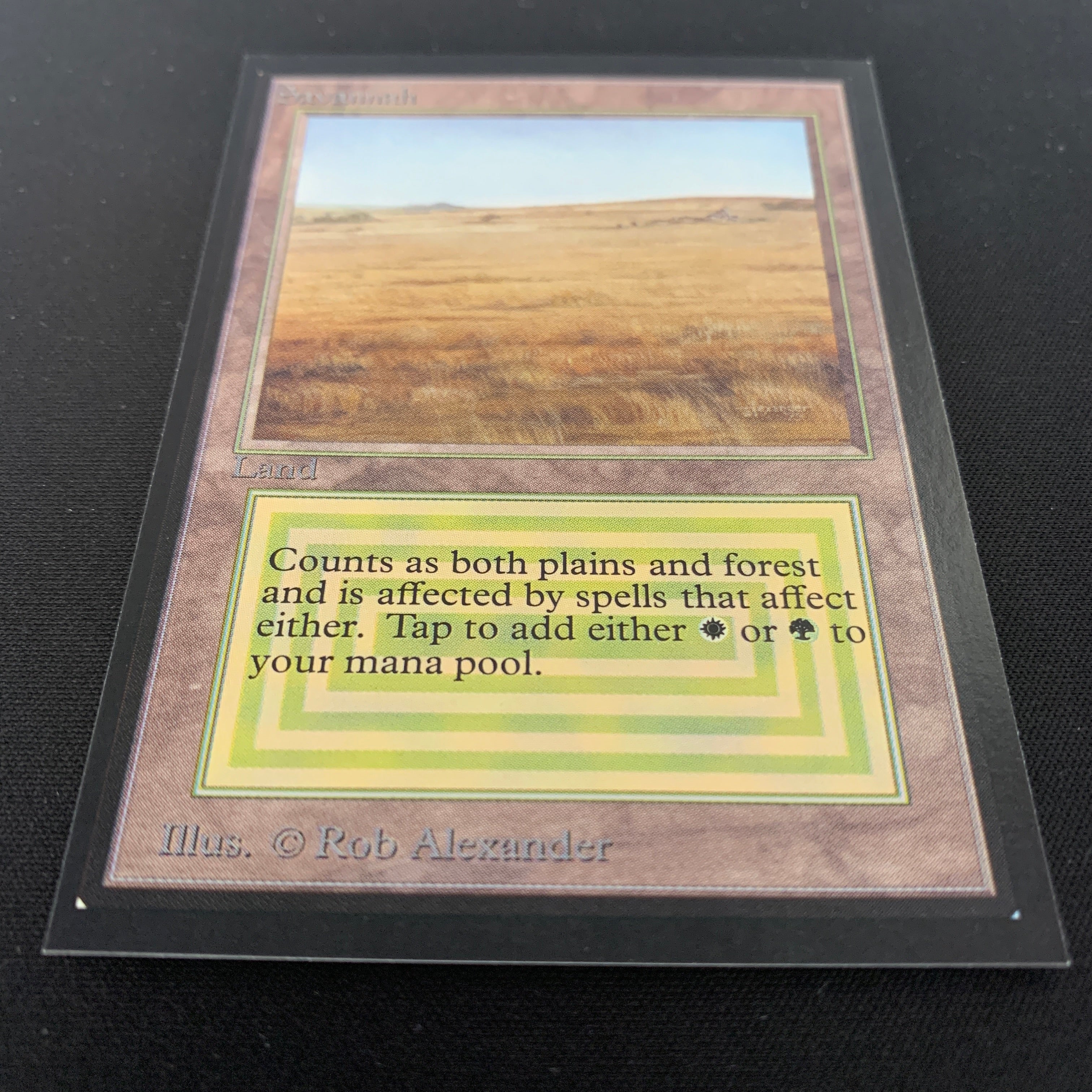 MTG Singles - Savannah - International Edition -