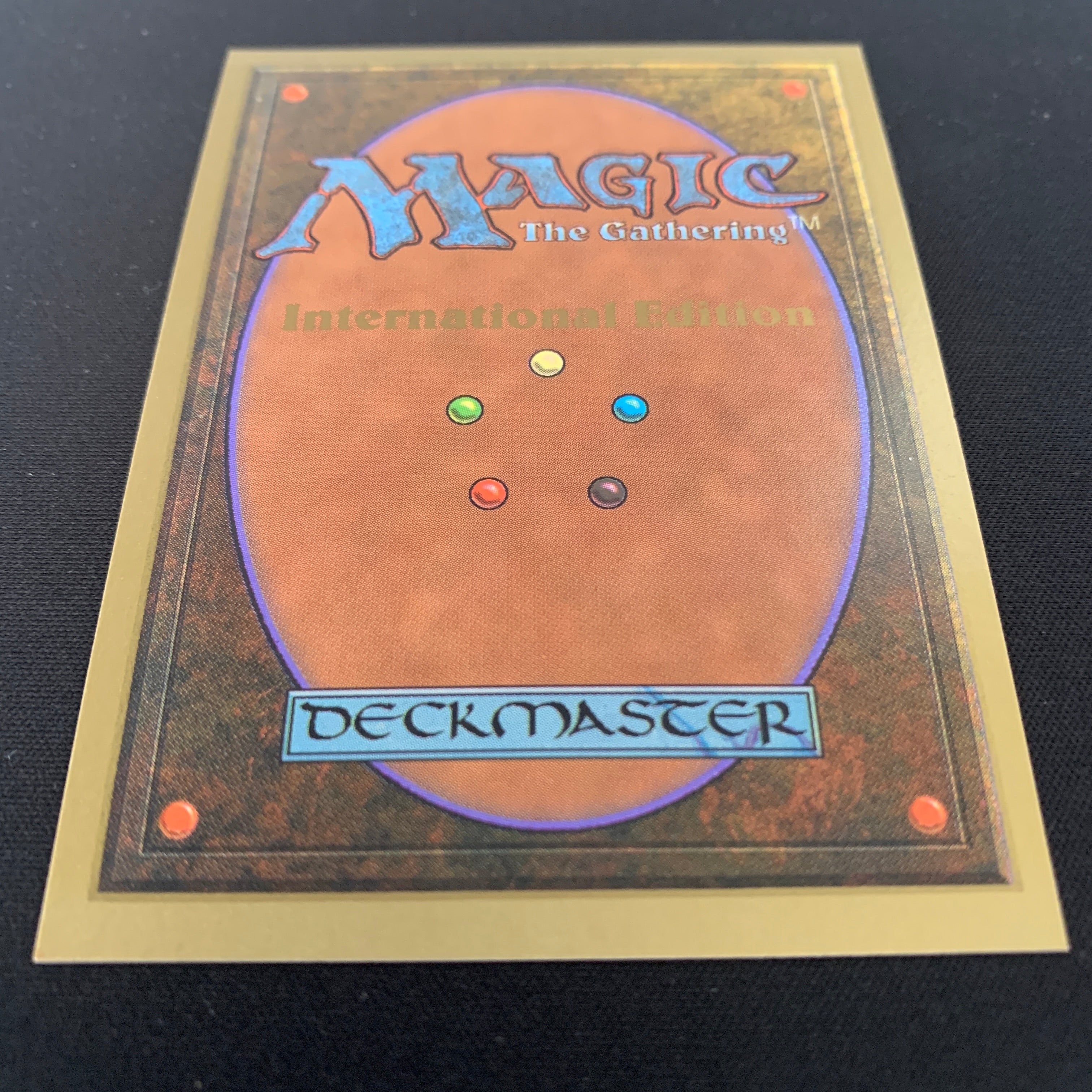 MTG Singles - Savannah - International Edition -