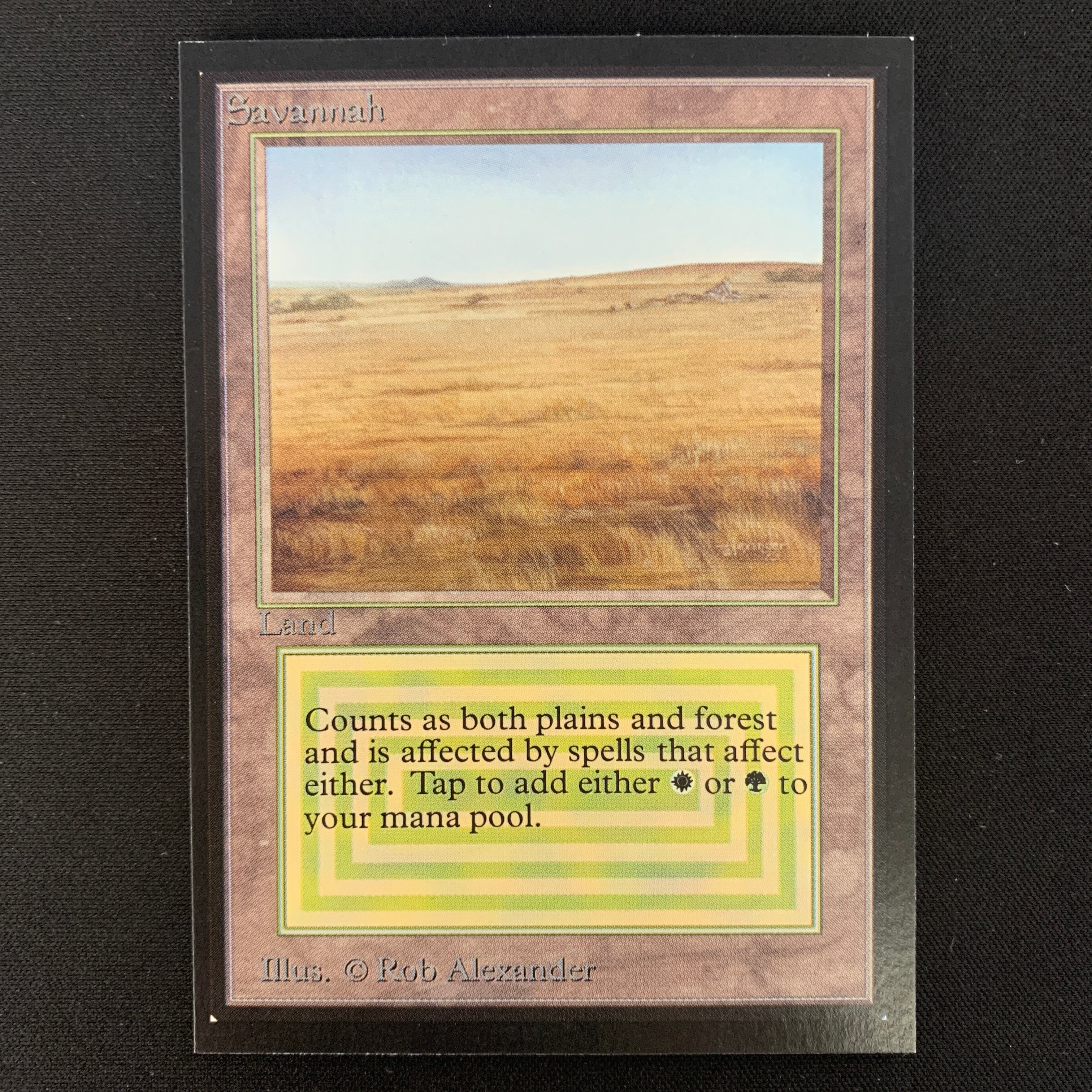 MTG Singles - Savannah - International Edition -