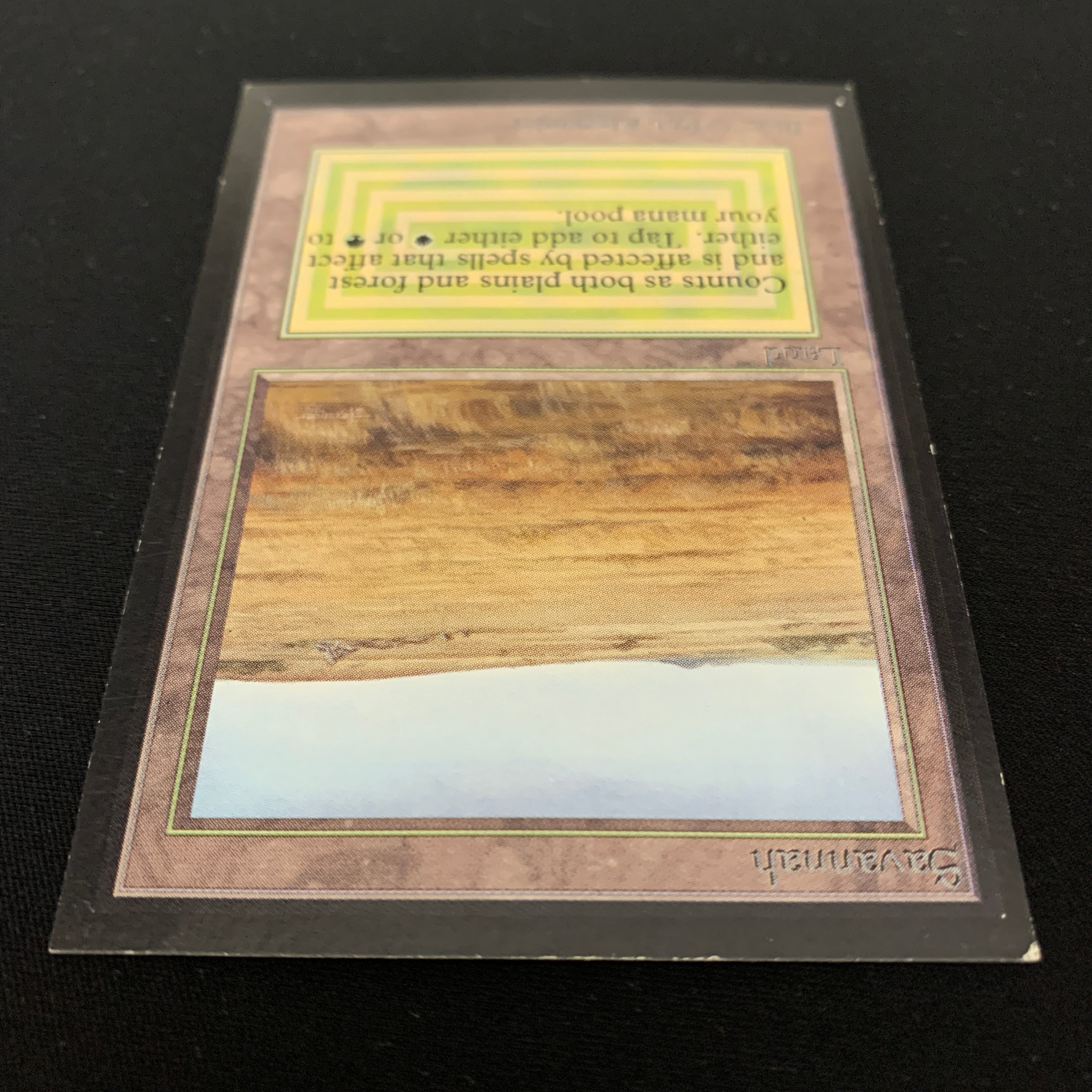 MTG Singles - Savannah - International Edition -