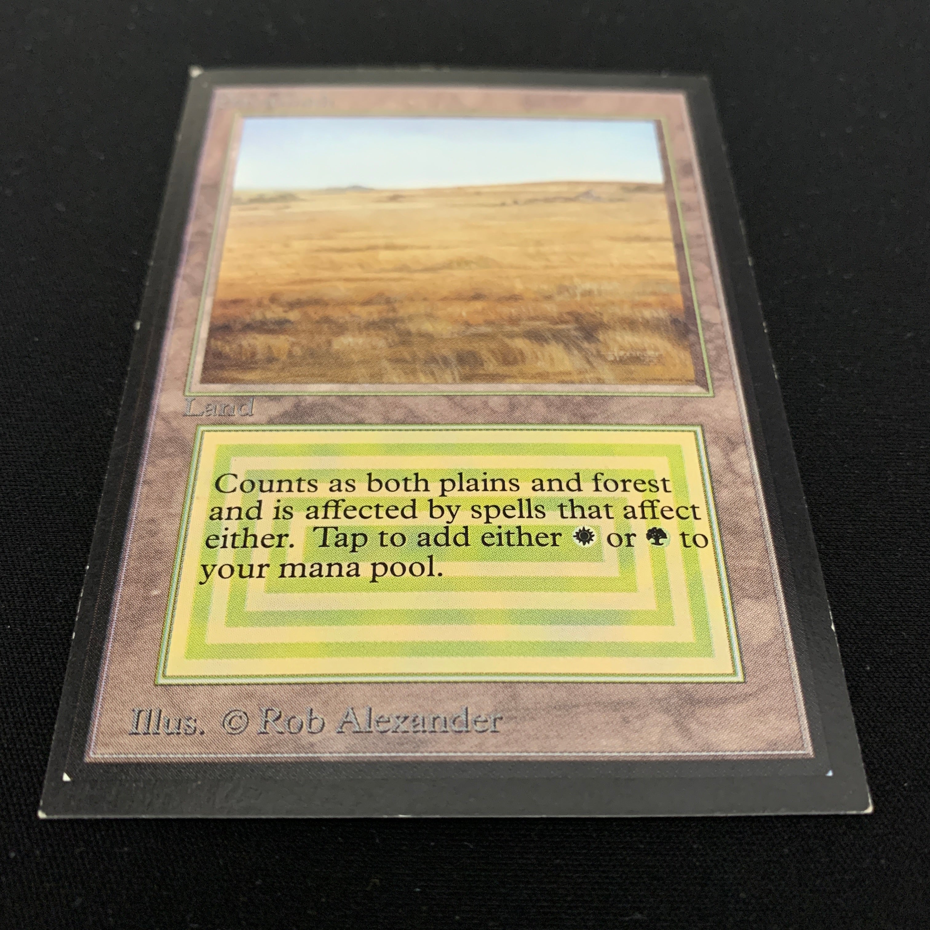 MTG Singles - Savannah - International Edition -