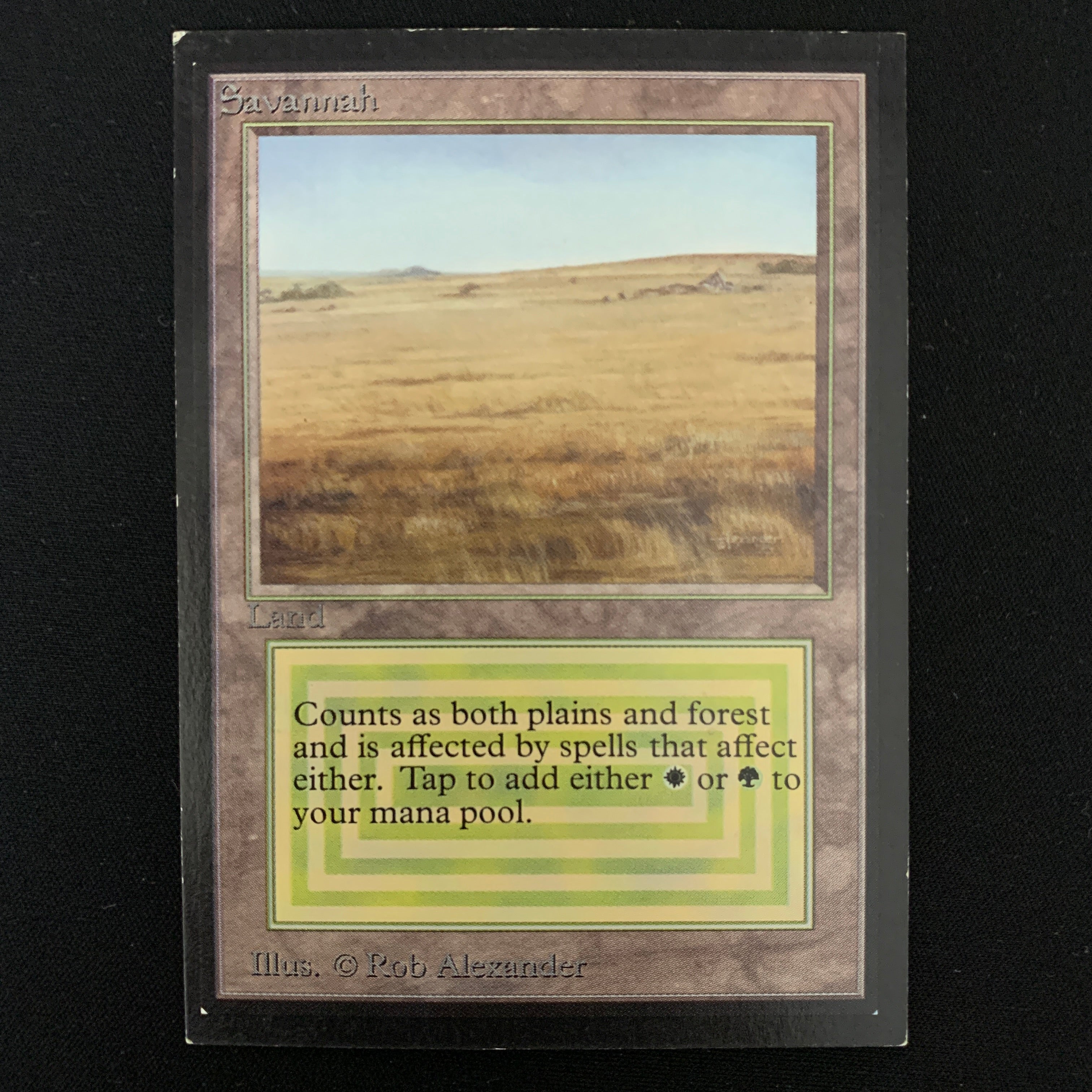 MTG Singles - Savannah - International Edition -