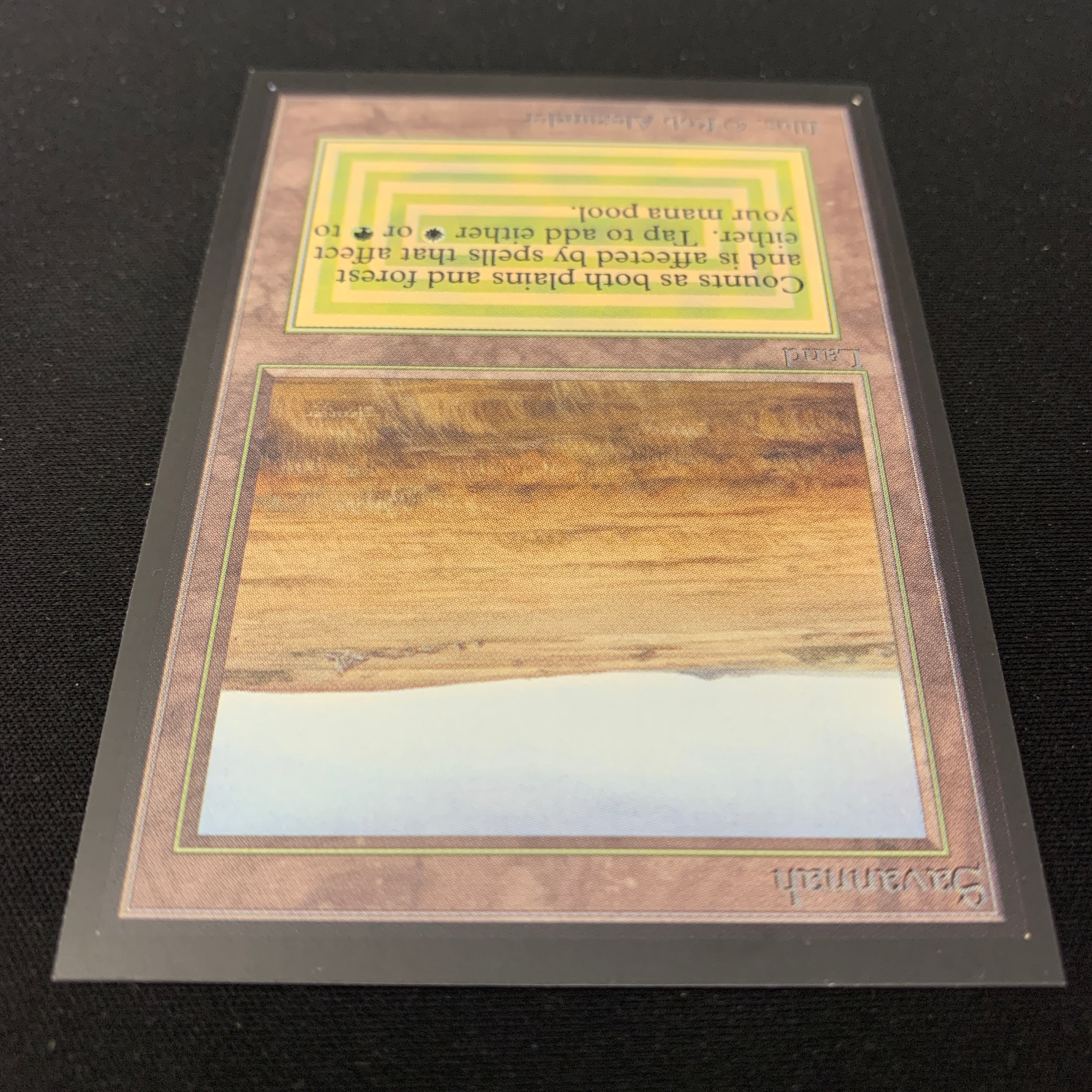 MTG Singles - Savannah - International Edition -