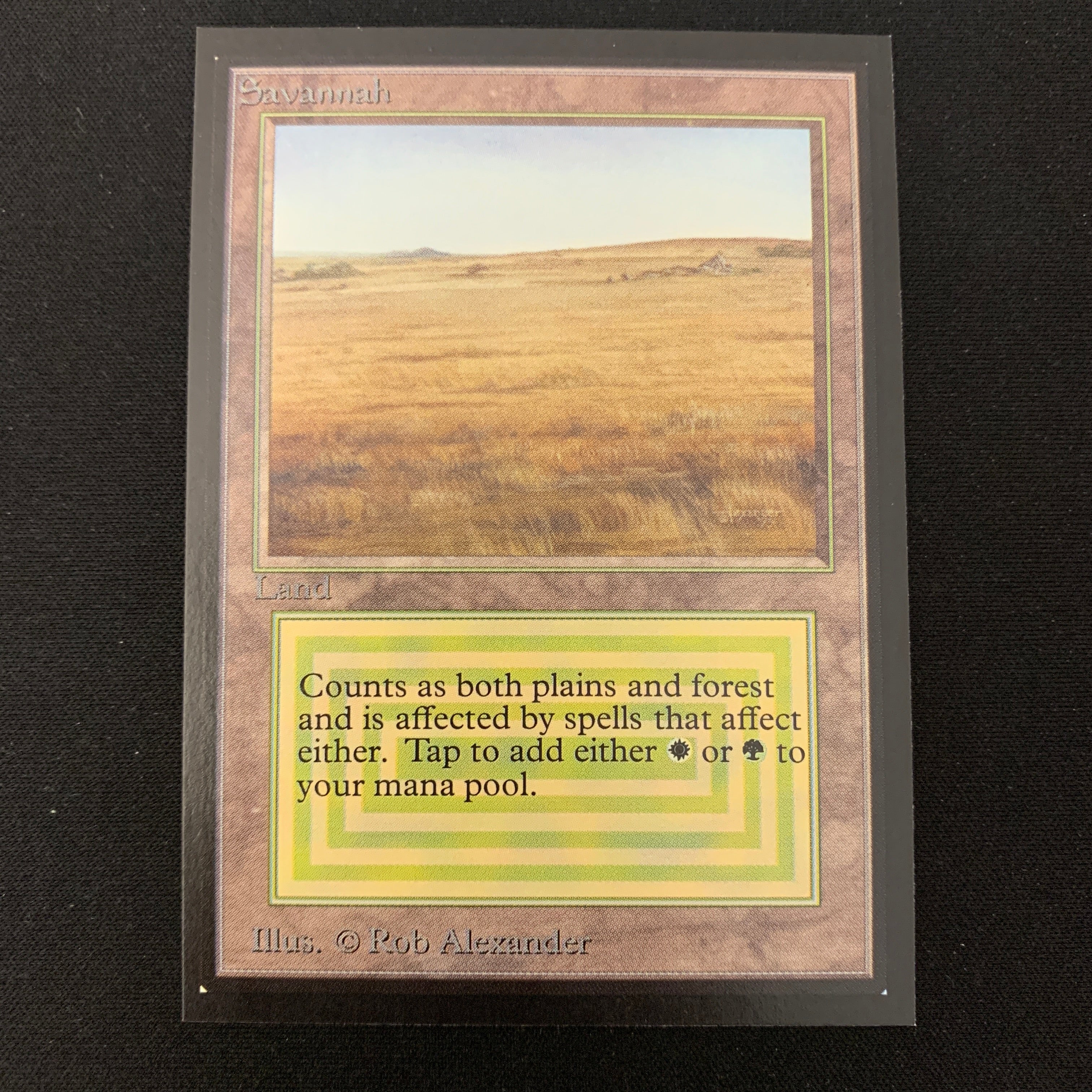 MTG Singles - Savannah - International Edition -