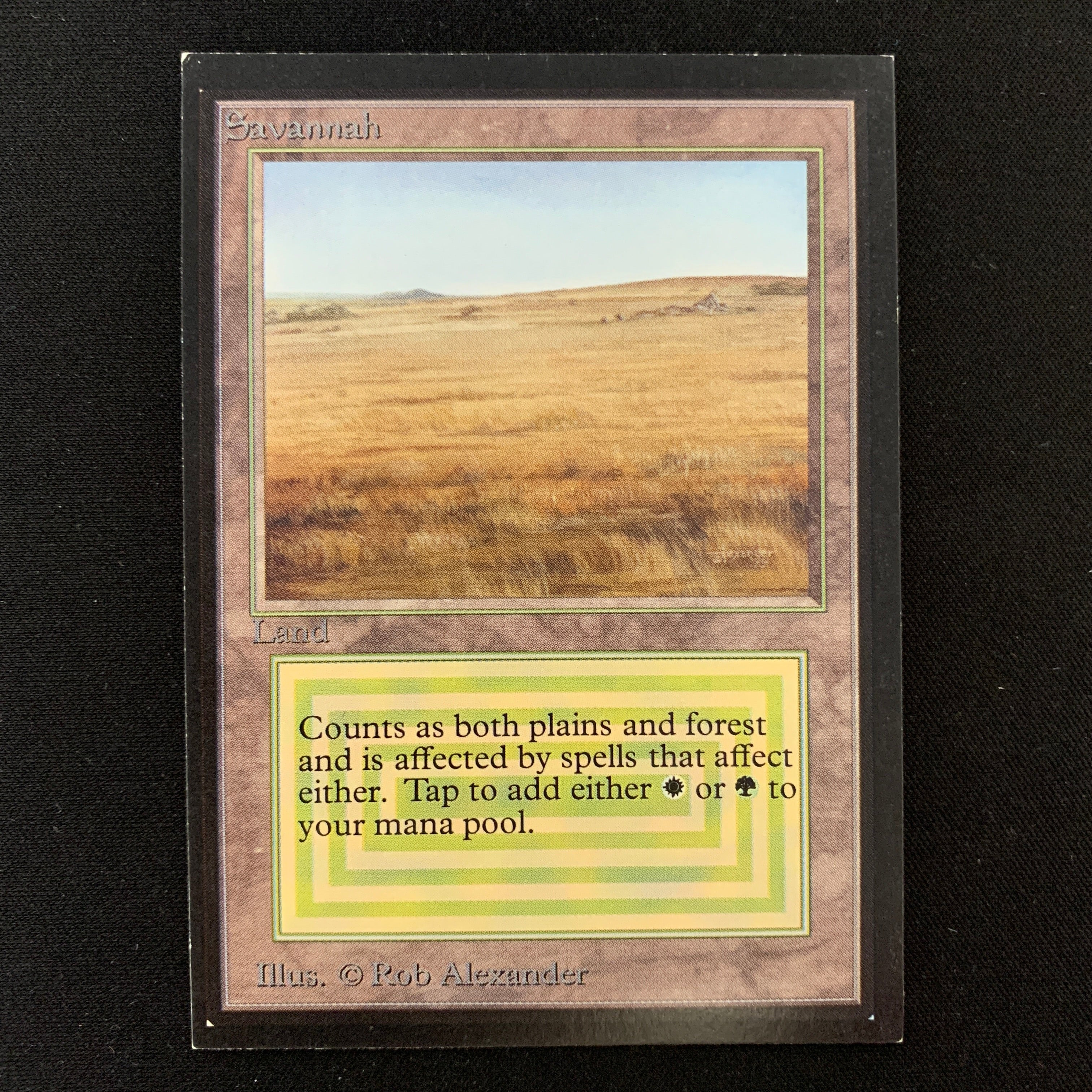 MTG Singles - Savannah - International Edition -