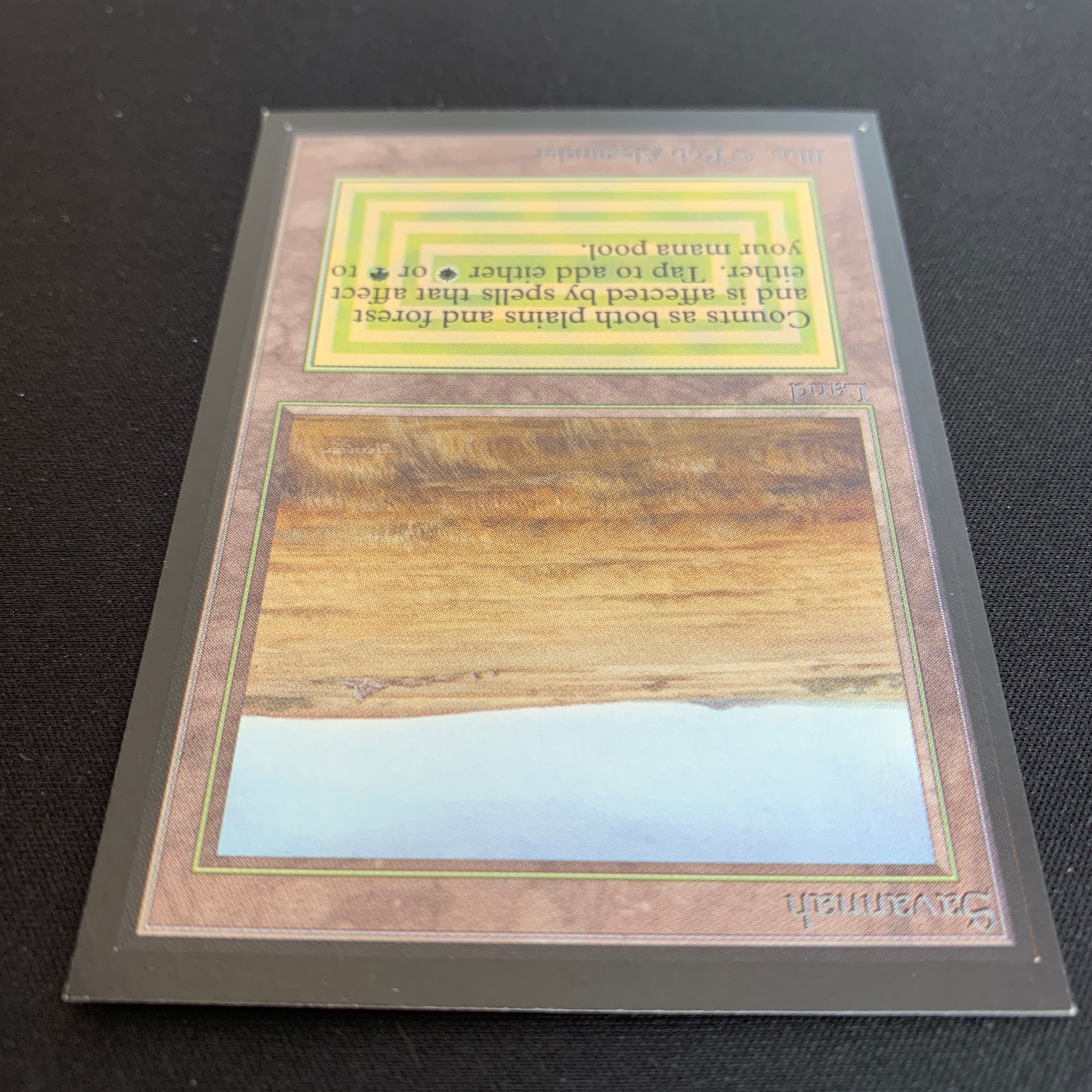 MTG Singles - Savannah - International Edition -