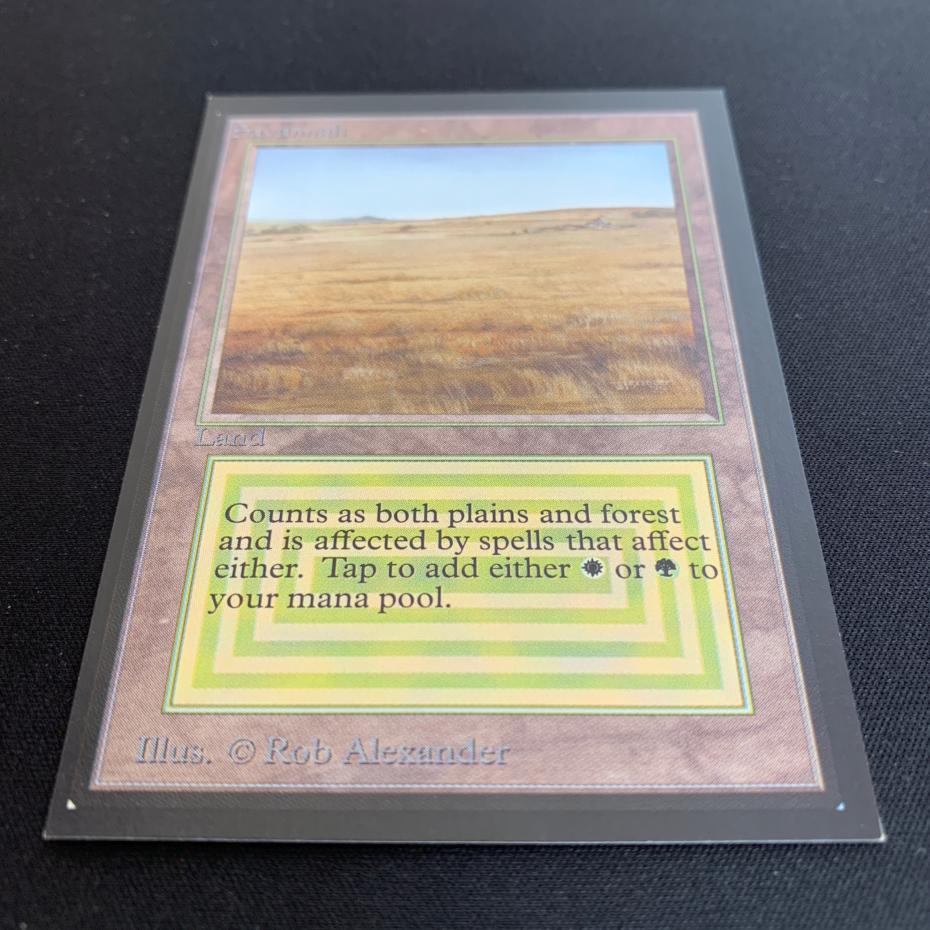 MTG Singles - Savannah - International Edition -