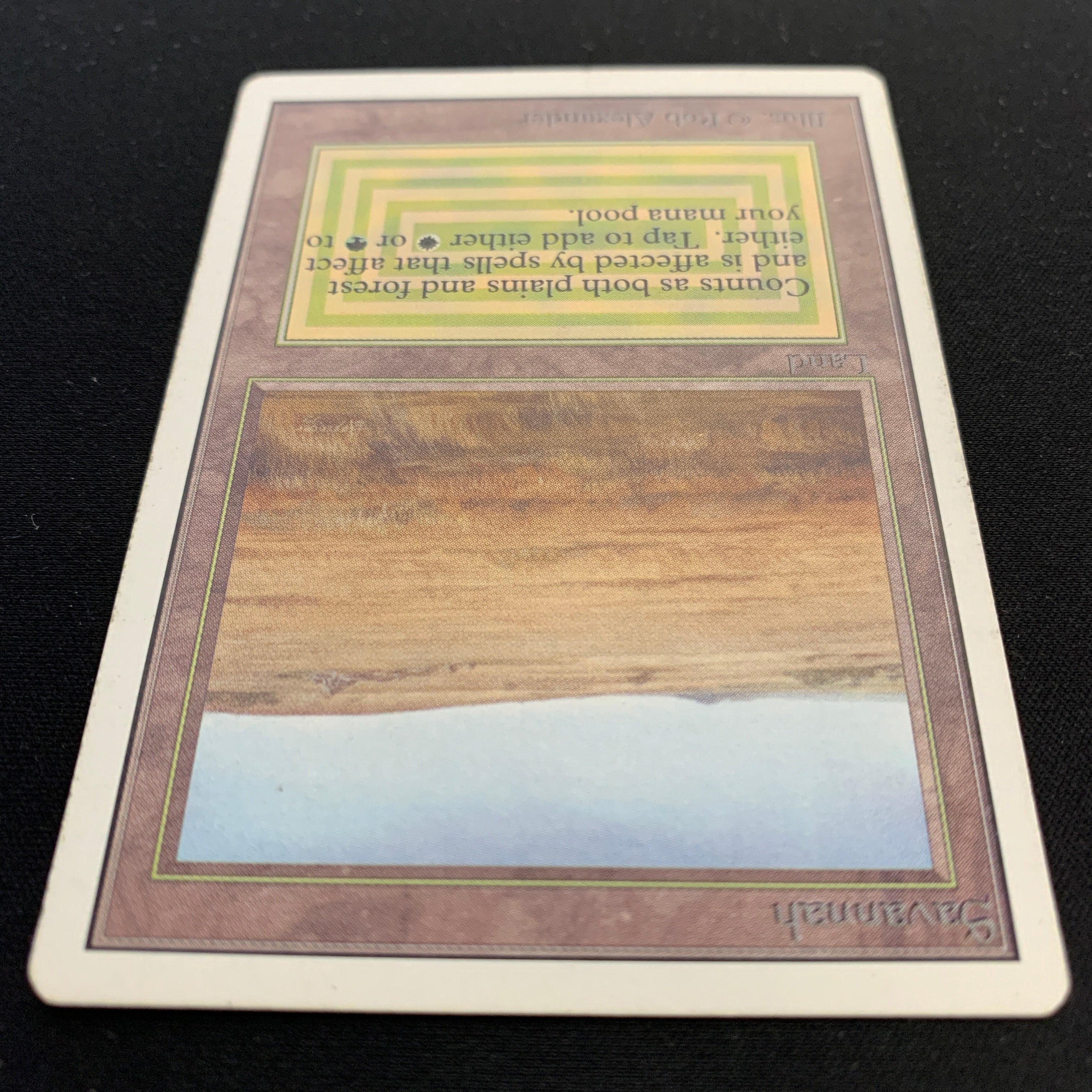 MTG Singles - Savannah - Unlimited -