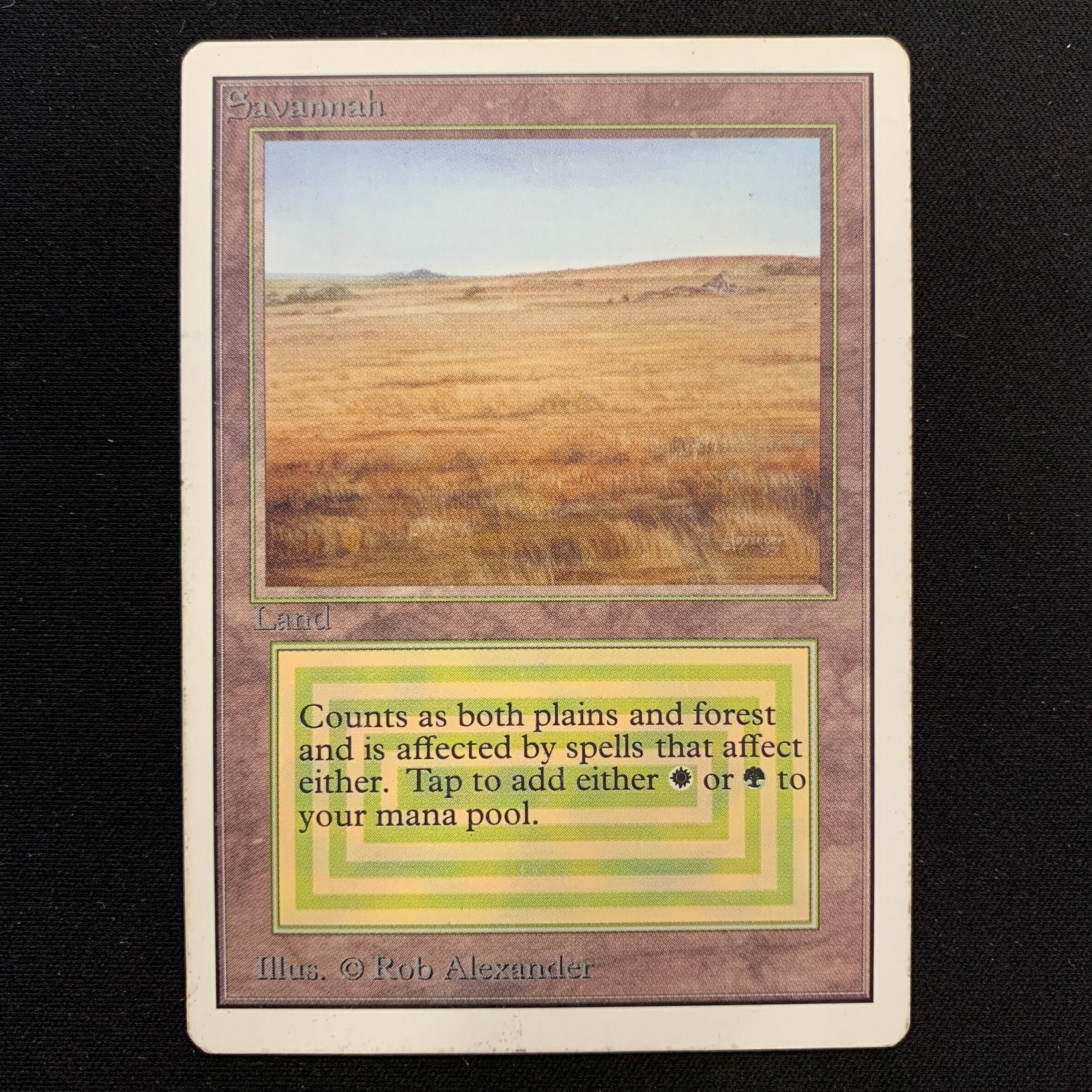 MTG Singles - Savannah - Unlimited -